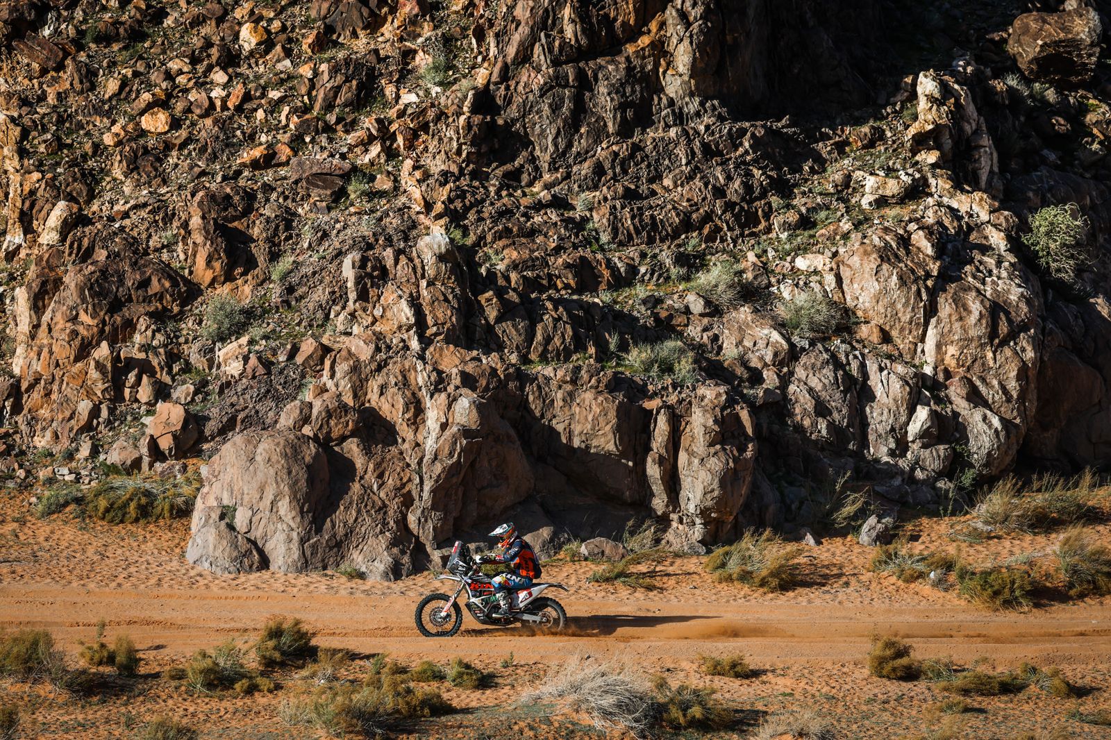 La etapa 9 del Rally Dakar, en fotos