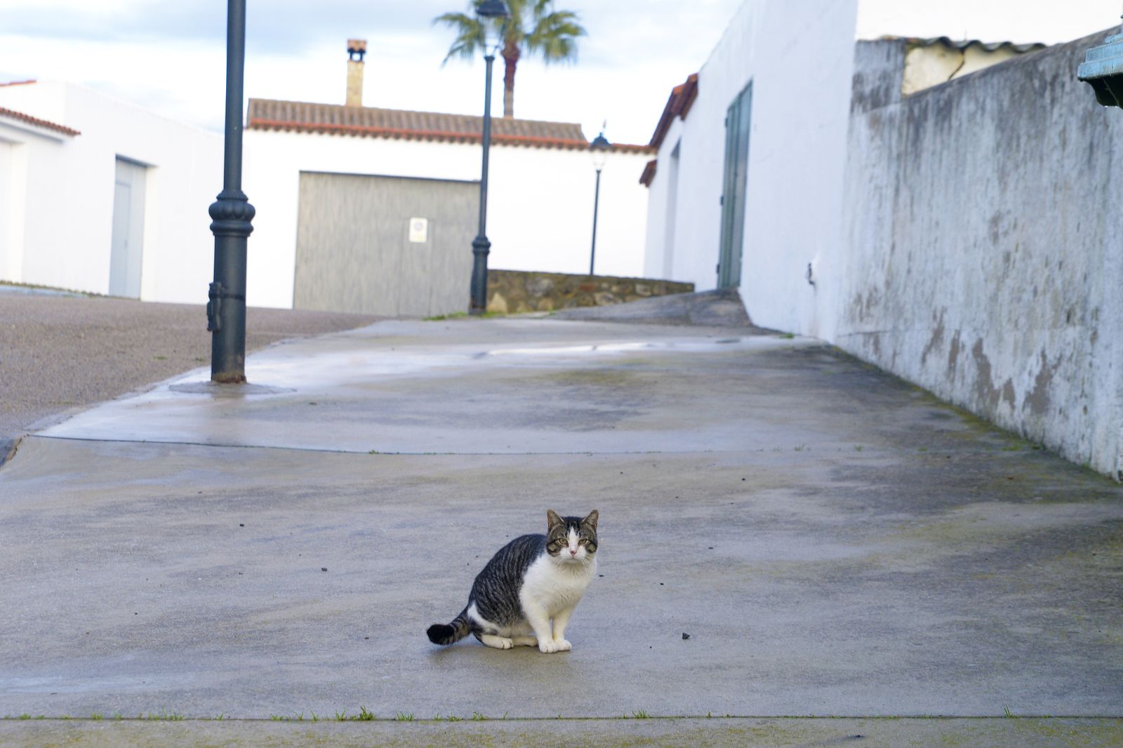 Primer día de colegio y  de alerta de grado 4 en Castellar