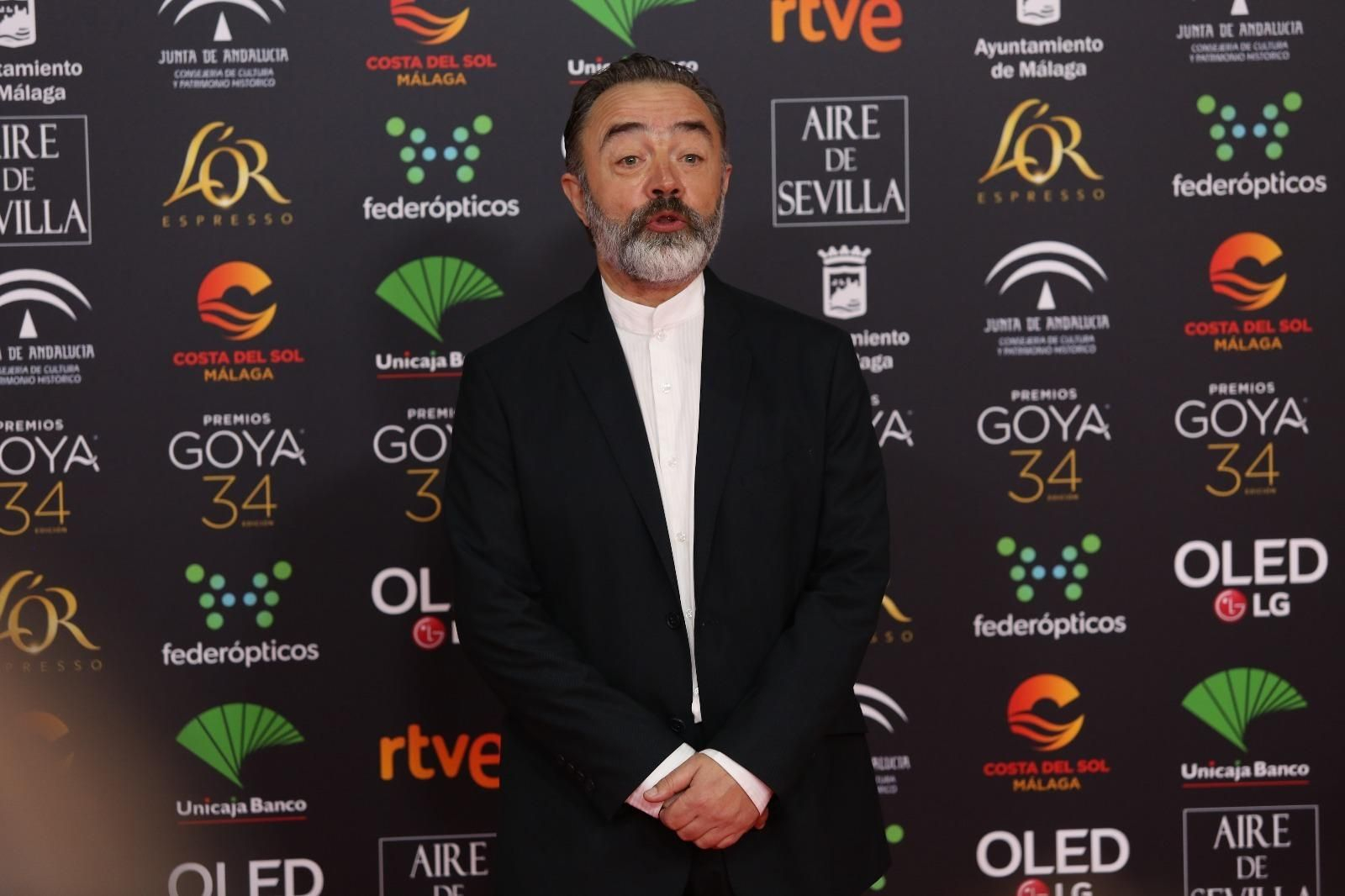 La alfombra roja de los Goya 2020 en Málaga