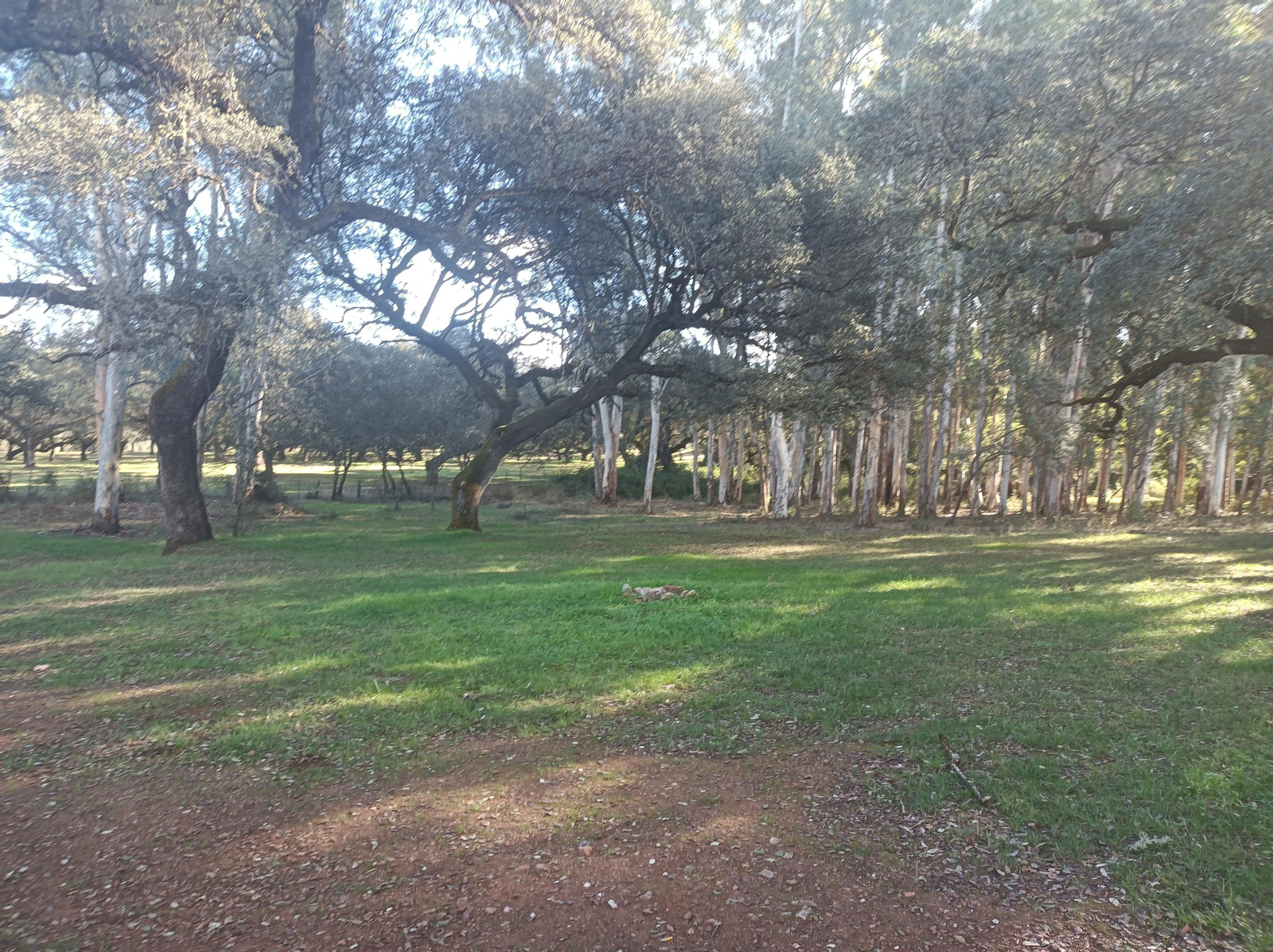 Fotos de la ruta de los molinos de Almadén de la Plata
