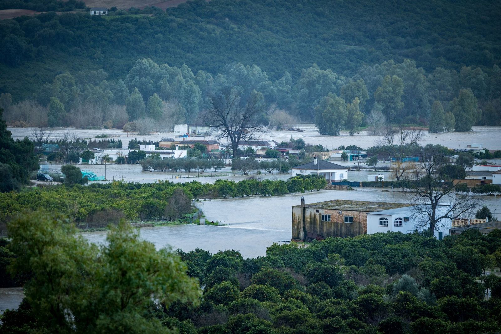 Las imágenes de las inundaciones en Arcos: la espectacular crecida del río Guadalete por la apertura de las presas
