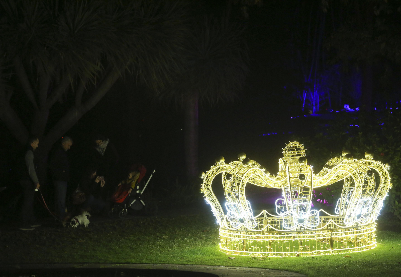 Las luces del Jardín Botánico de Málaga esta Navidad, en fotos