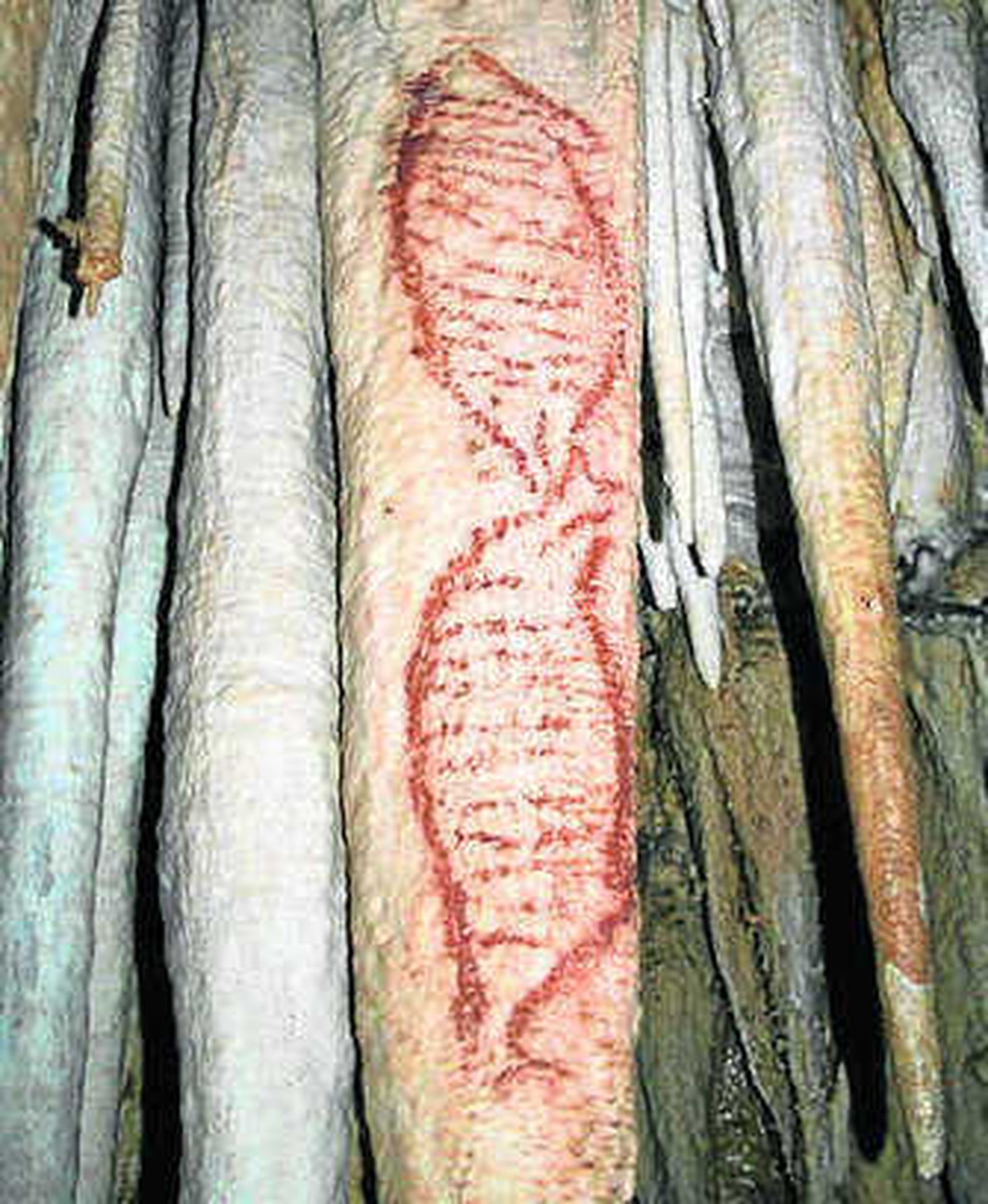 Pintura en el interior de la cueva.