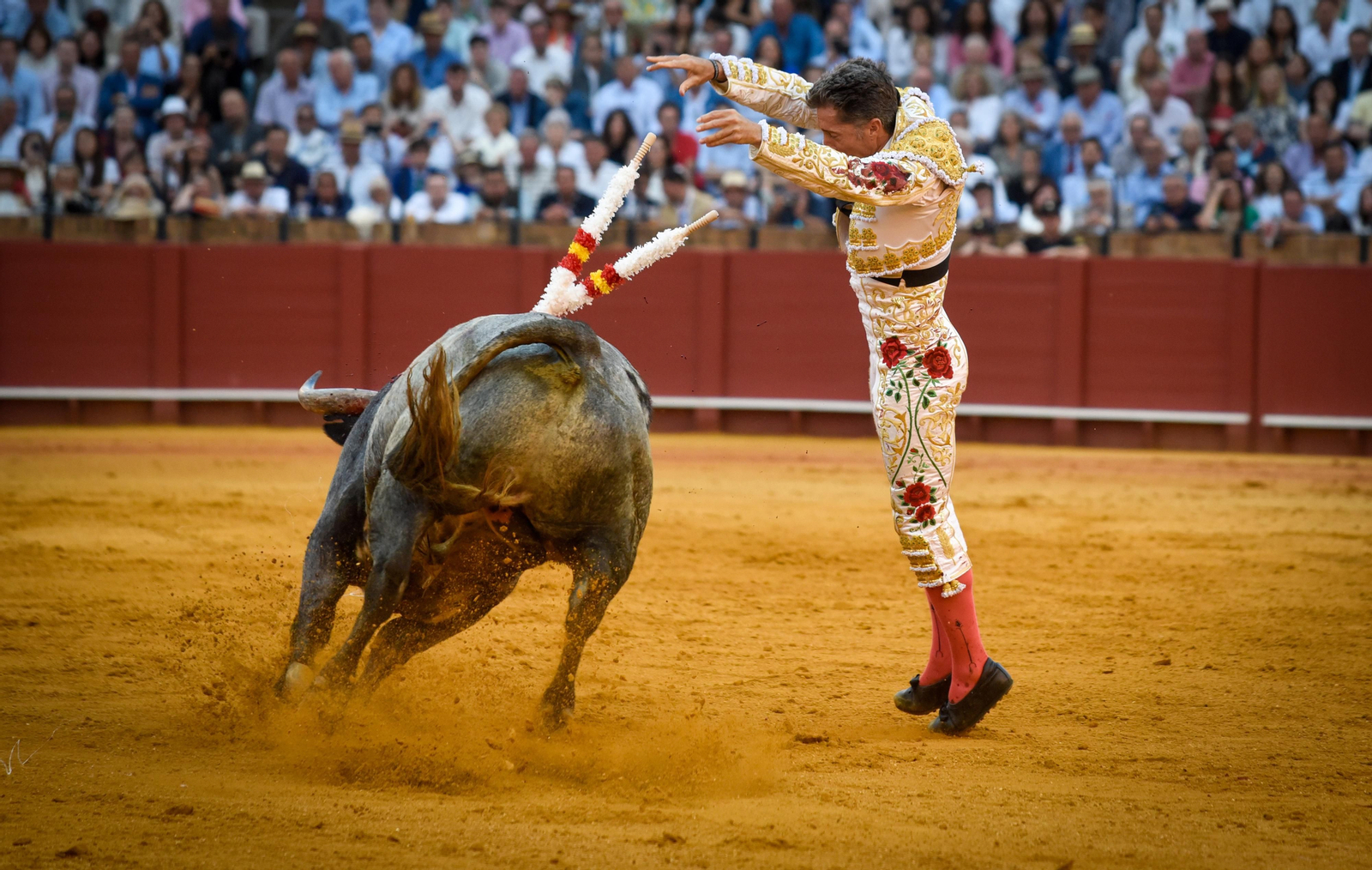 Las imágenes de la corrida de toros de El Fandi, Manuel Escribano y Esaú Fernández