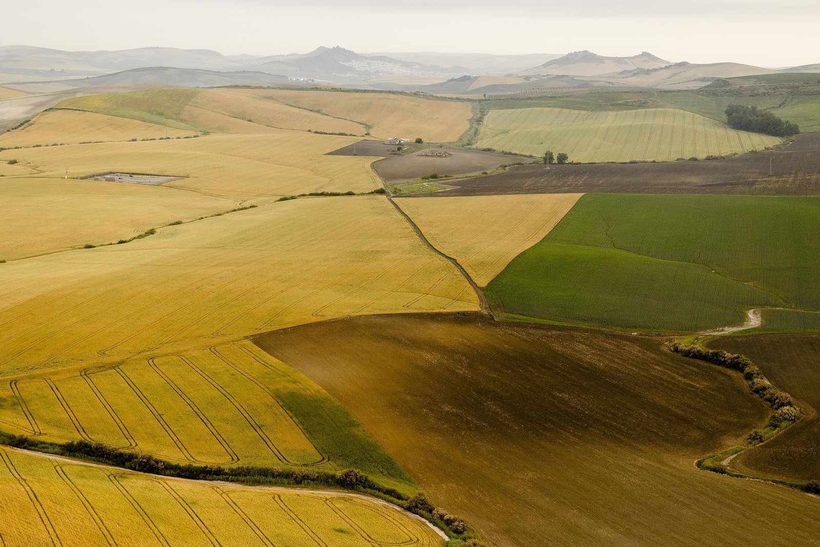 Cádiz desde el cielo en imágenes: así se ve Arcos en globo