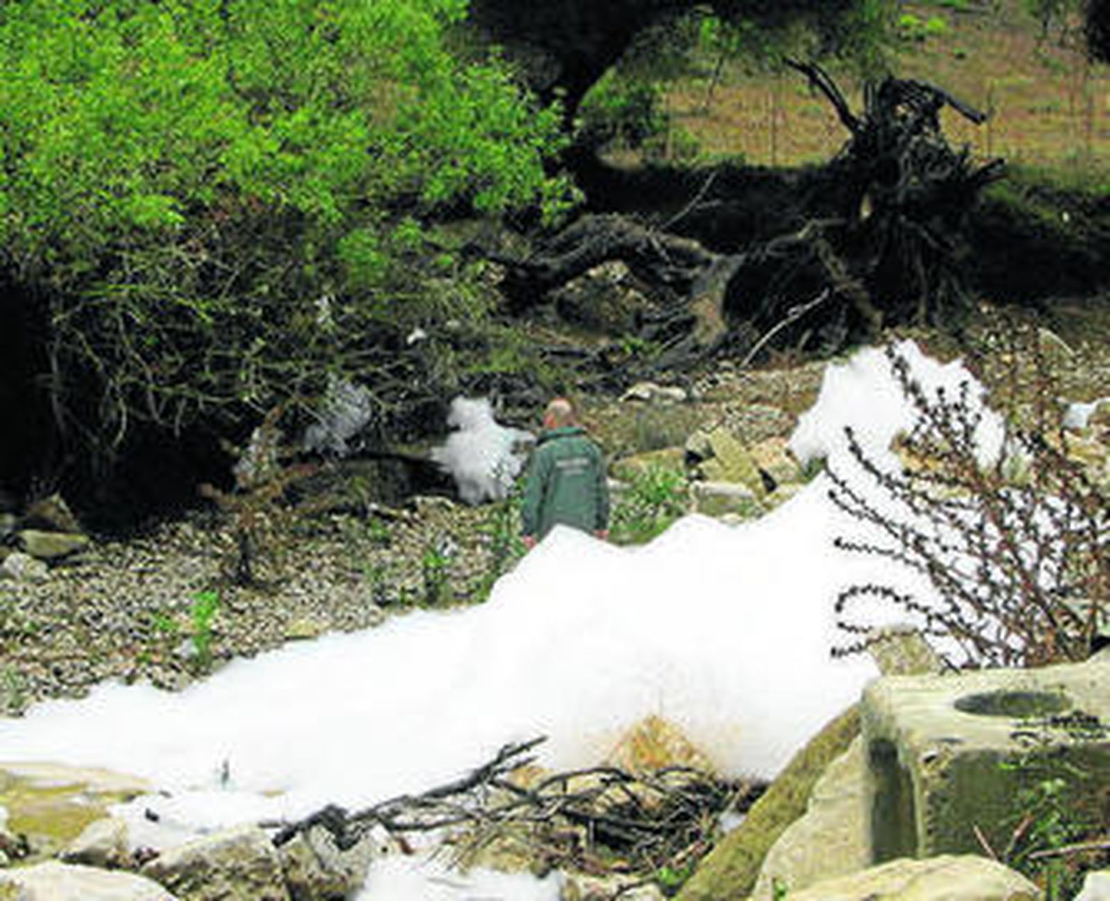 Un agente del Seprona observa la espuma del arroyo.