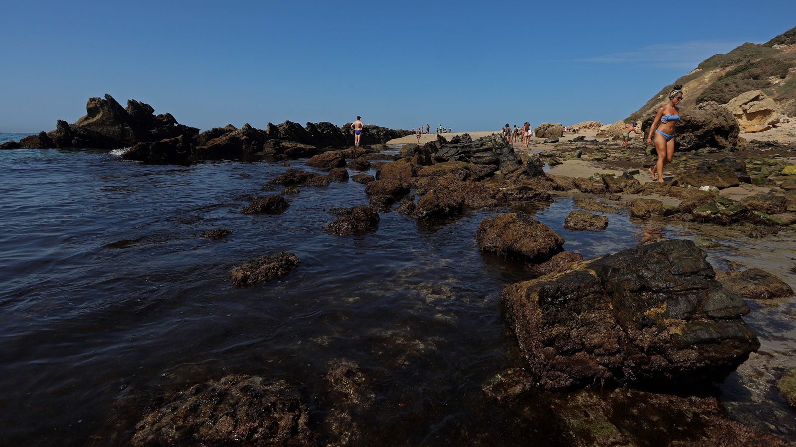 Fotos de la playa de Bolonia
