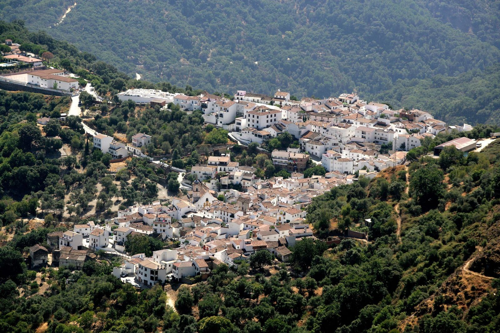 Vista de la Sierra de las Nieves