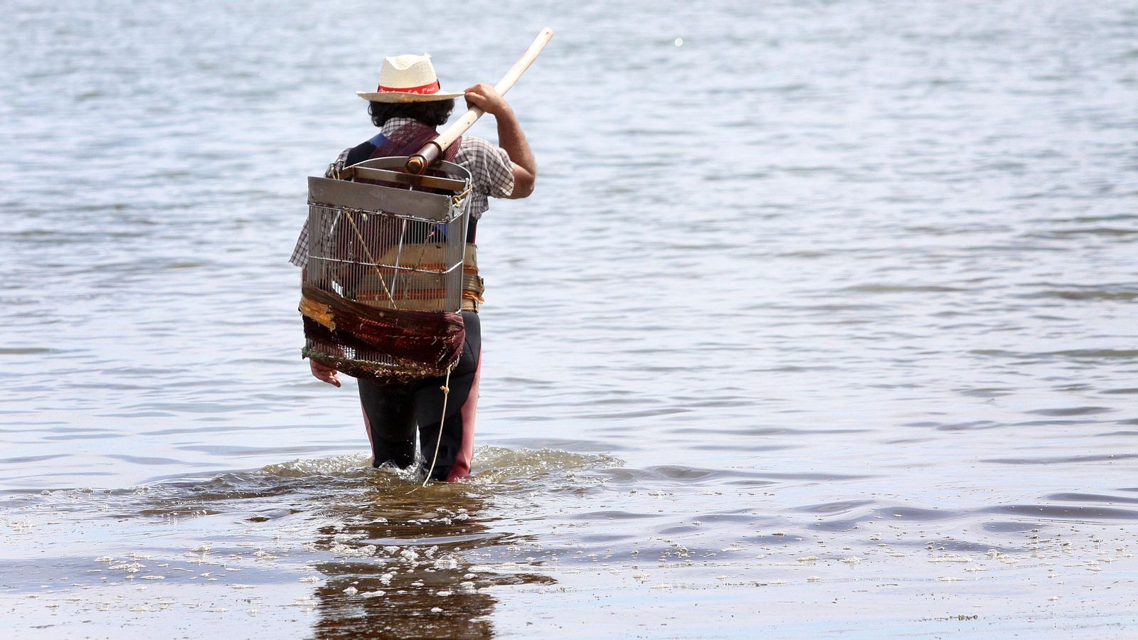 Un coquinero se adentra en el mar para empezar a mariscar.