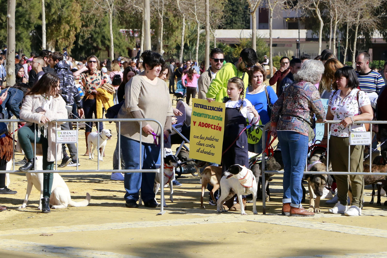 Imágenes de San Antón 2020 en Jerez