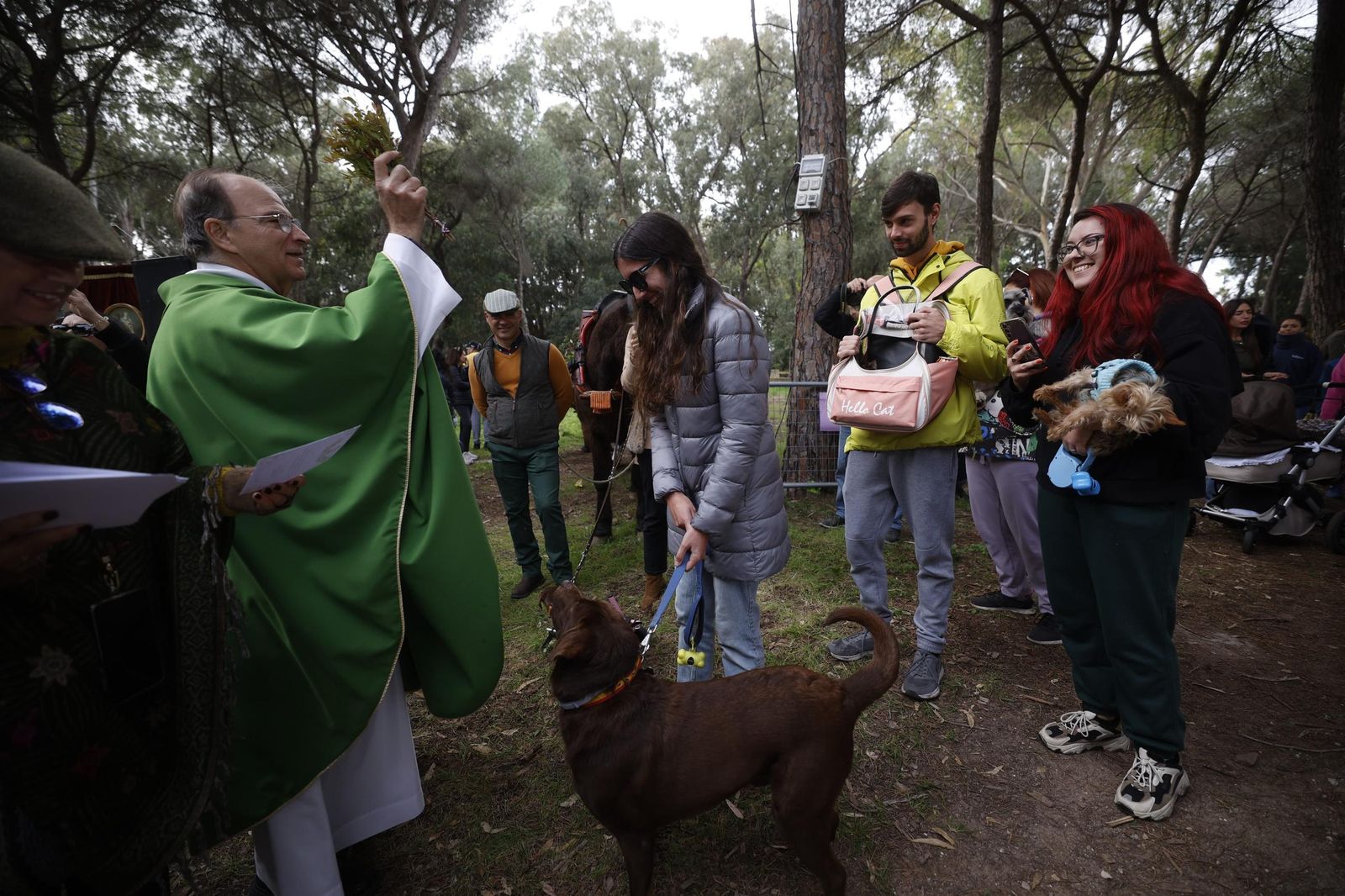 Las imágenes de la festividad de San Antón en El Puerto