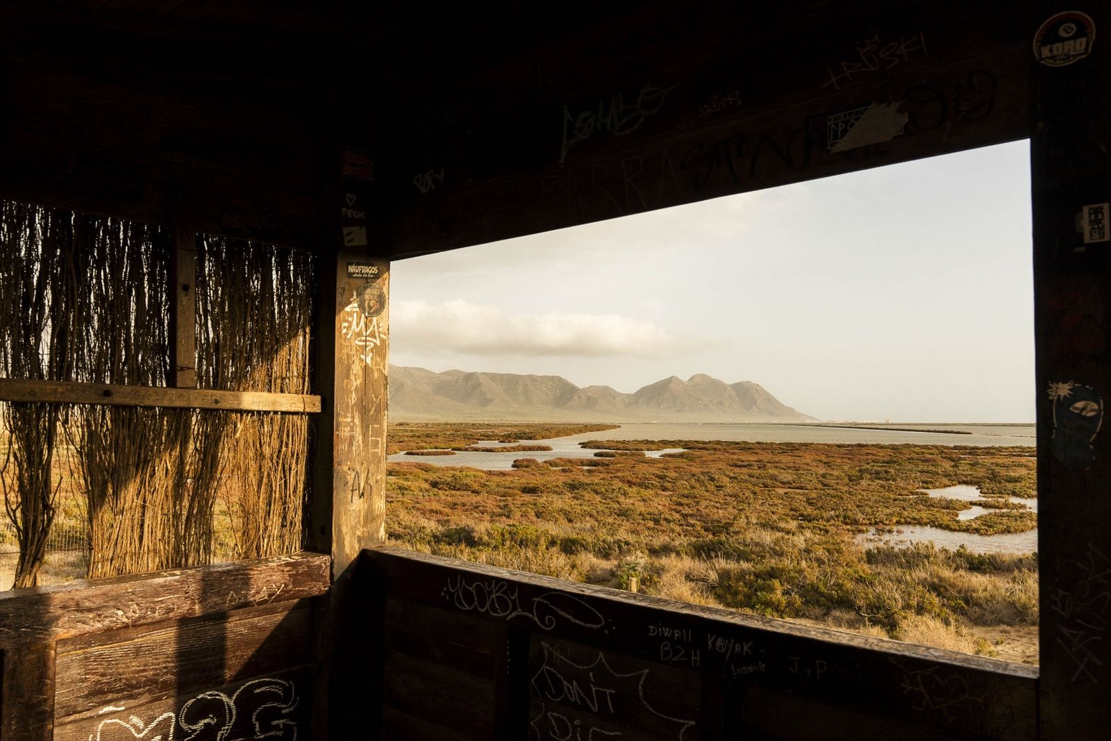 Explosión de vida en el Parque Natural Cabo de Gata, así florece tras un invierno lluvioso