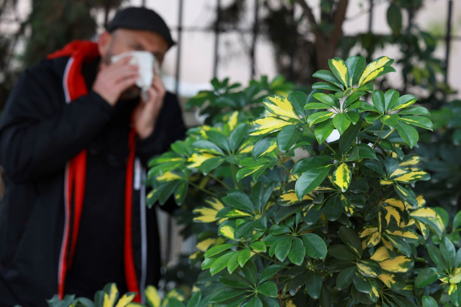 Un hombre presenta síntomas de alergia | Imagen de archivo