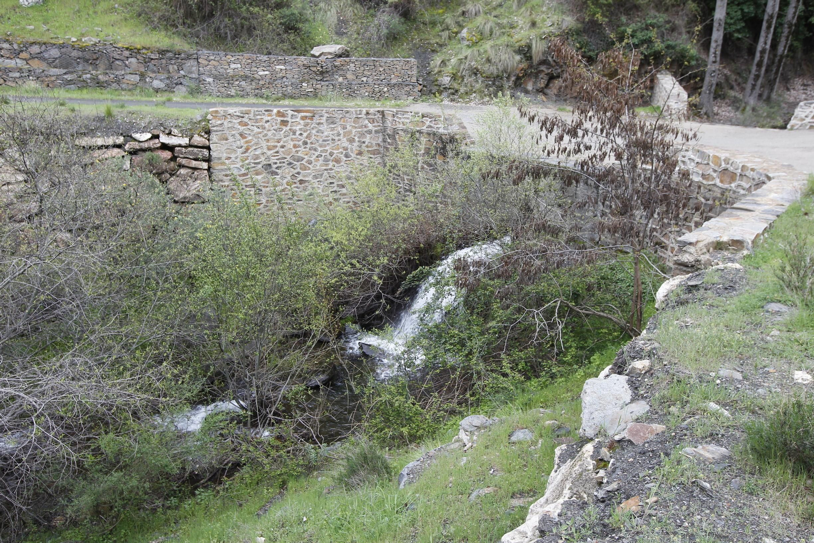 Naturaleza desconfinada. La Roza (Abrucena)