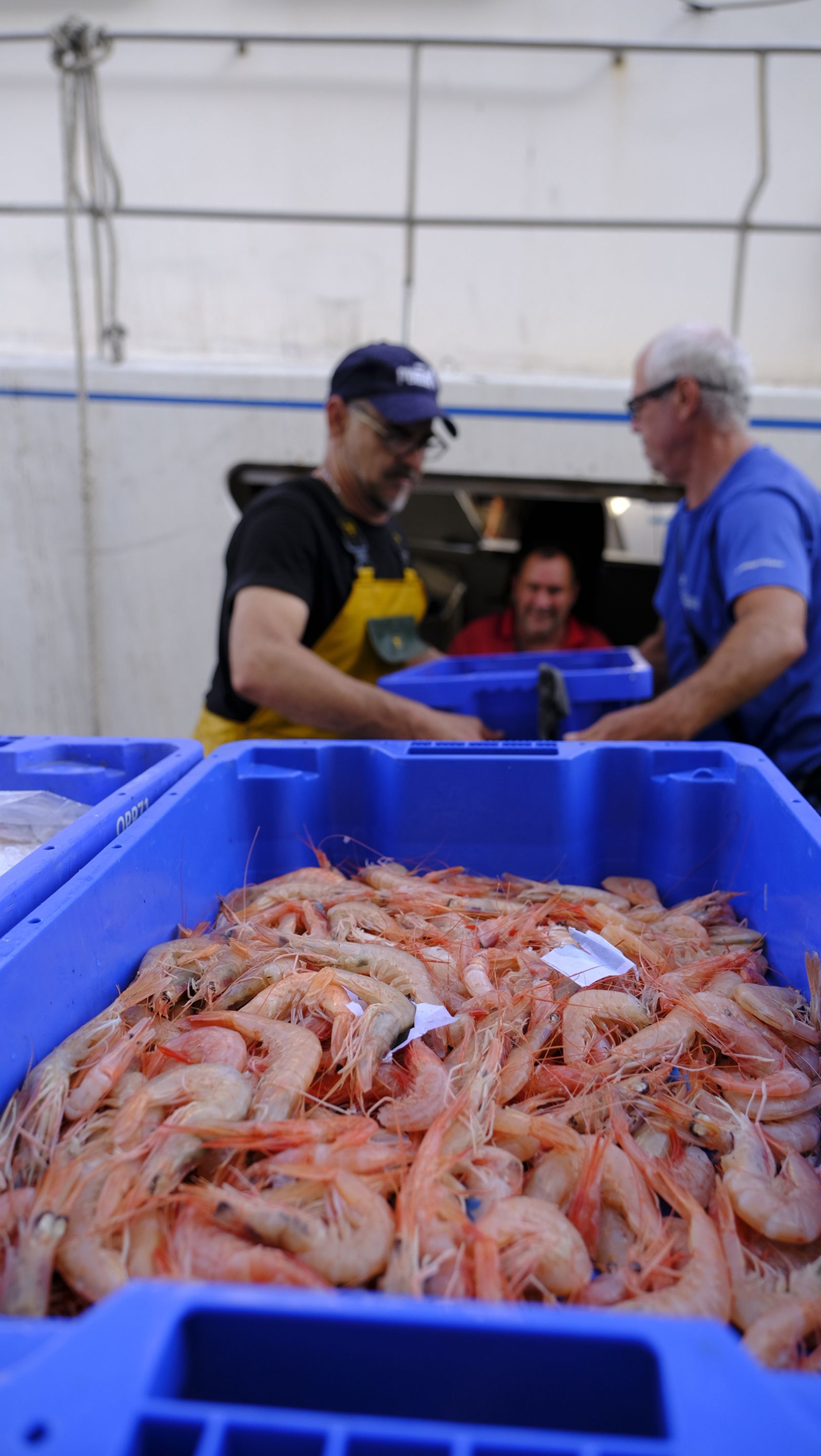 Imágenes de la visita guiada a la Lonja del Puerto Pesquero de Almería