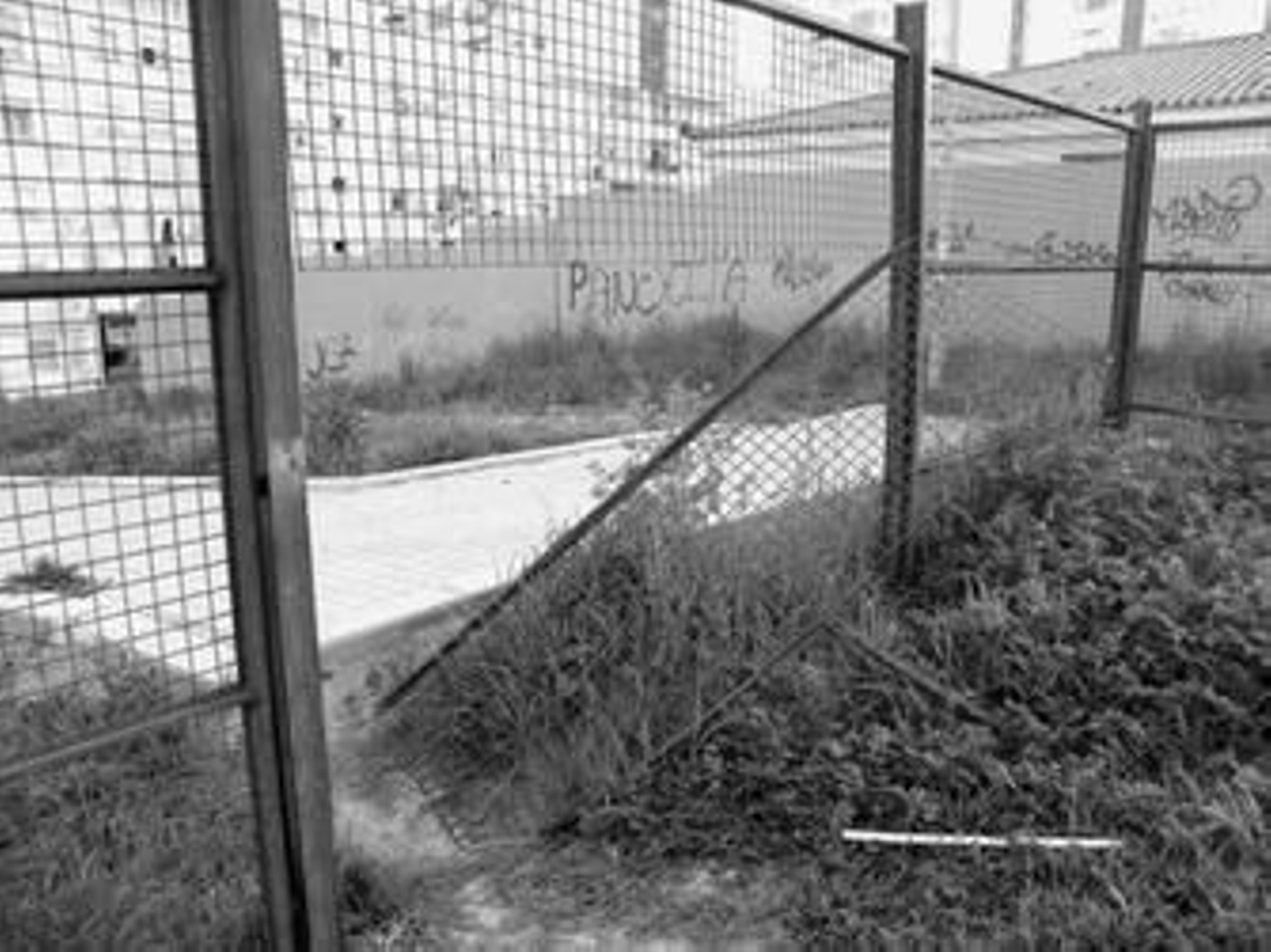 Imagen de la valla metálica deteriorada en el pabellón Andrés Mateo de El Saladillo.