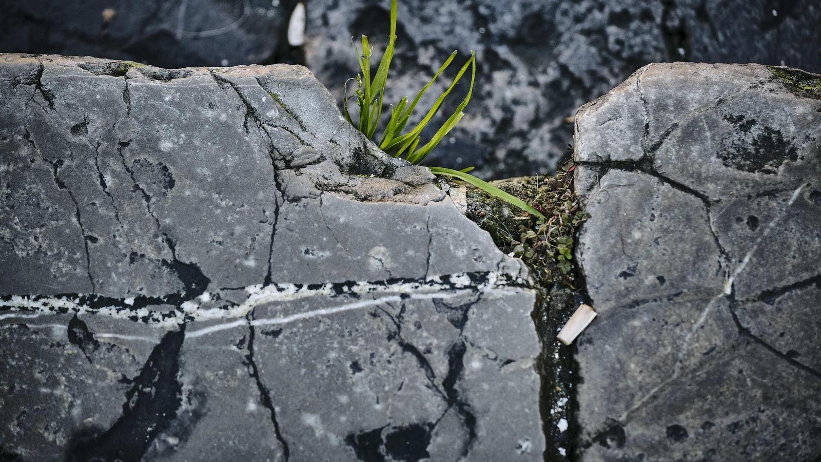 Estado del pavimento en plaza de la Catedral