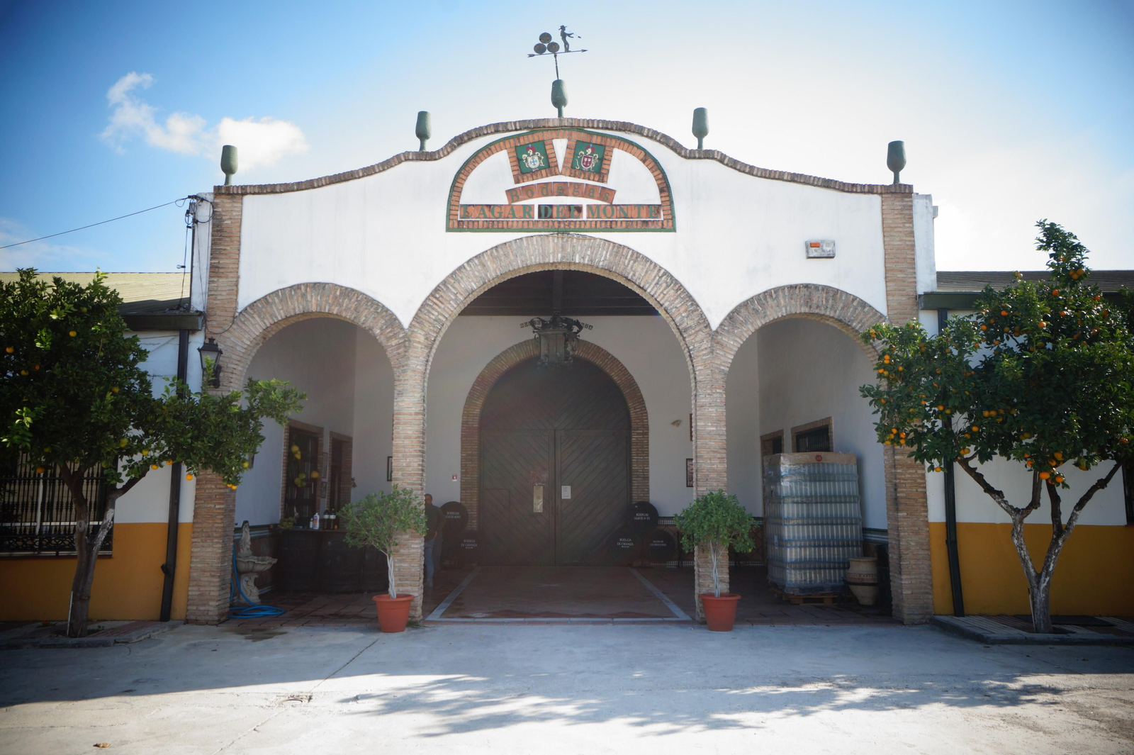 Un recorrido en fotografías por el vino nuevo de Moriles