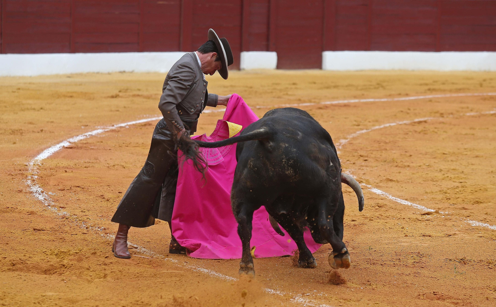 Fotos del festival taurino benéfico en La Línea
