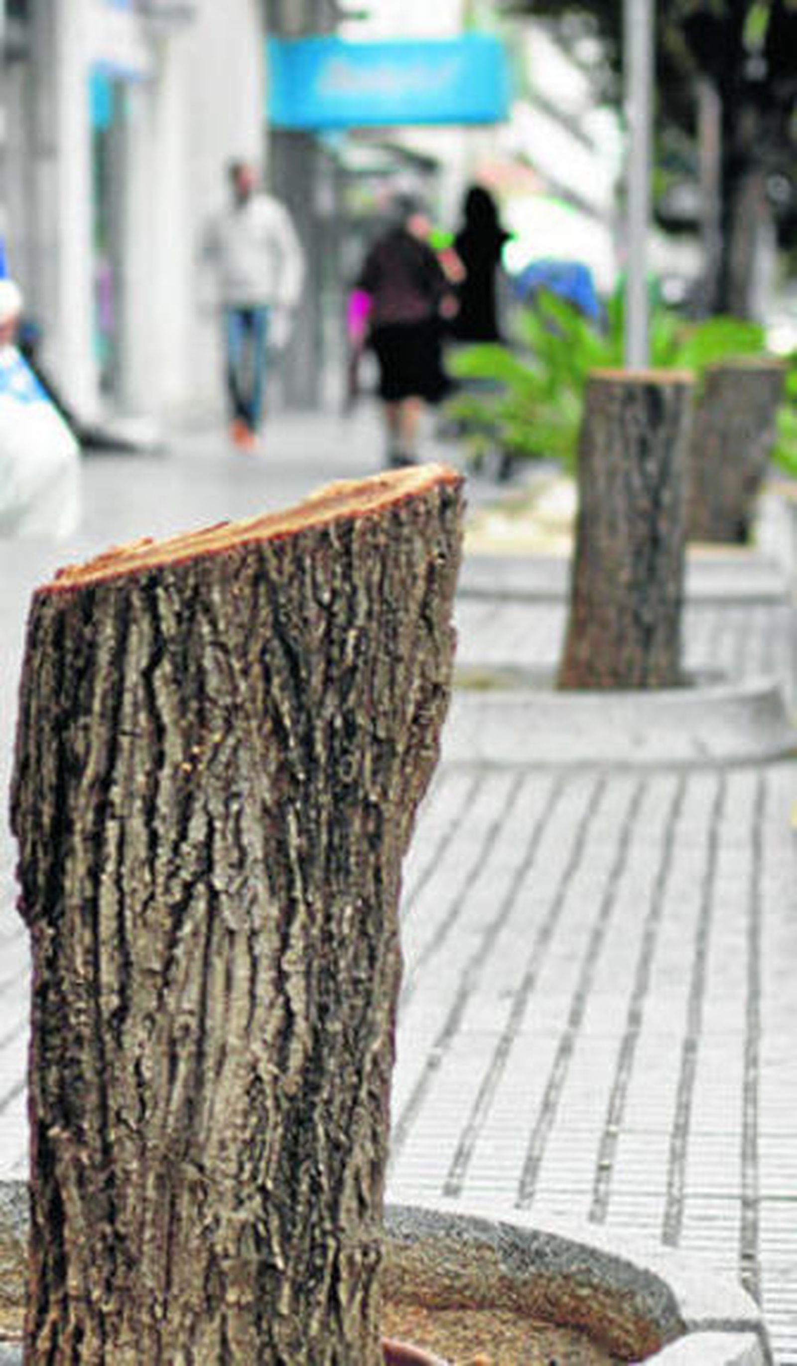 Tres tocones en la avenida principal.