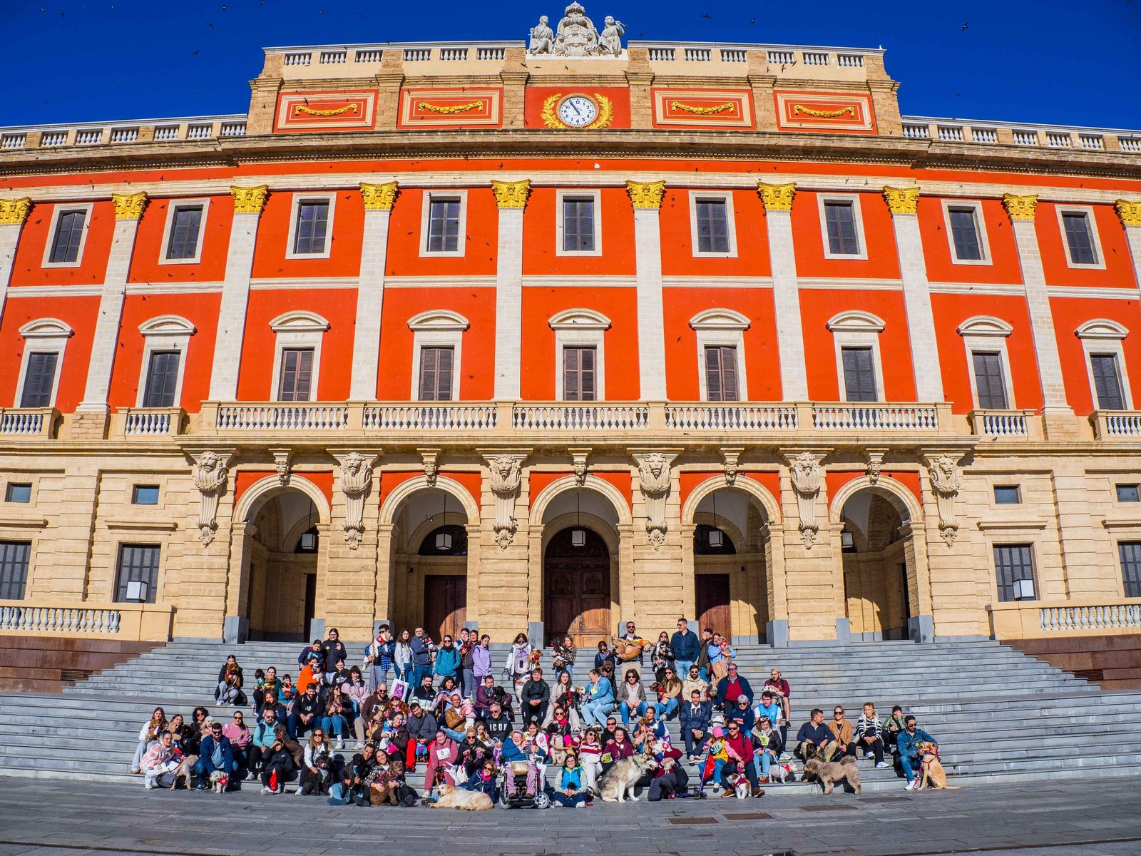 Las imágenes de San Antón 2025 en San Fernando