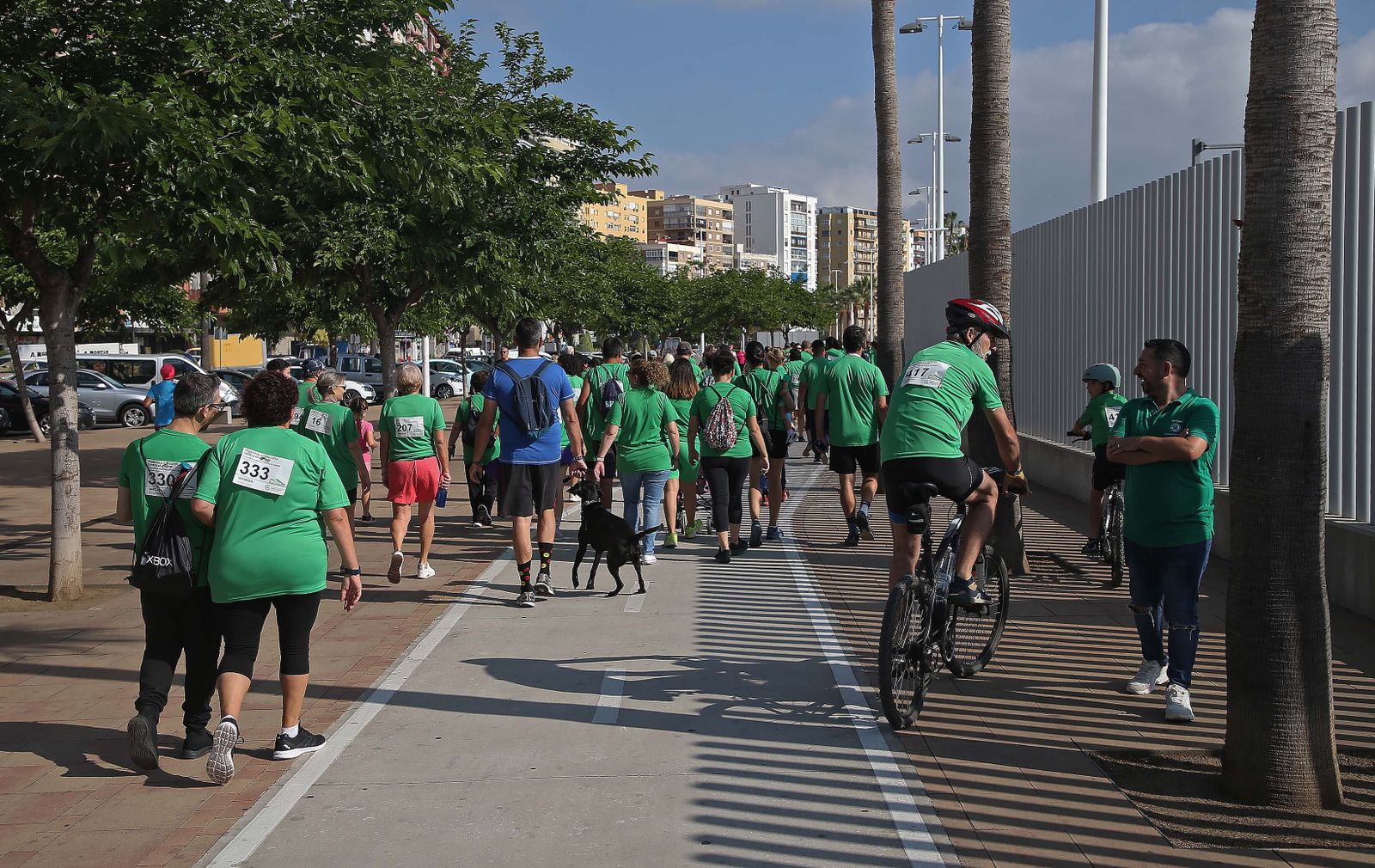 La II Carrera en marcha contra el cáncer celebrada en Algeciras, en imágenes.