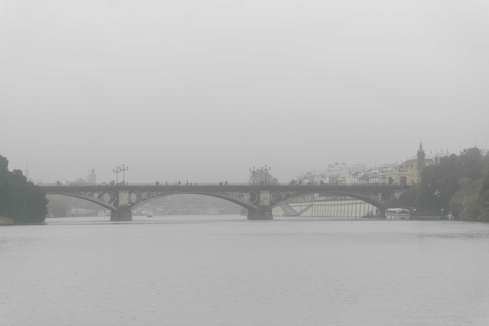 Paseo por el río hasta la Zona Franca en una embarcación solar