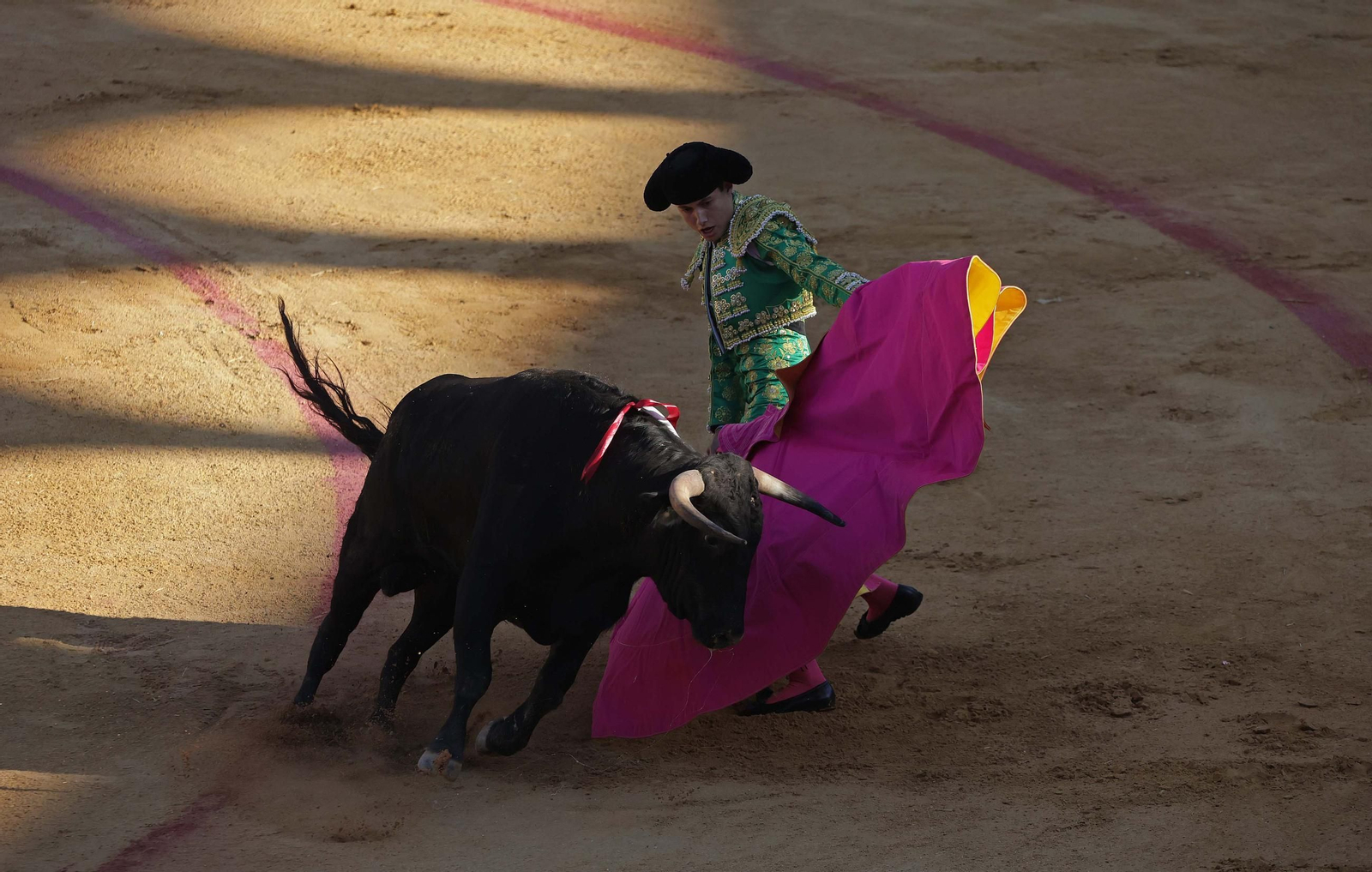 Fotos de la novillada sin picadores del miércoles de la Feria Real de Algeciras 2025