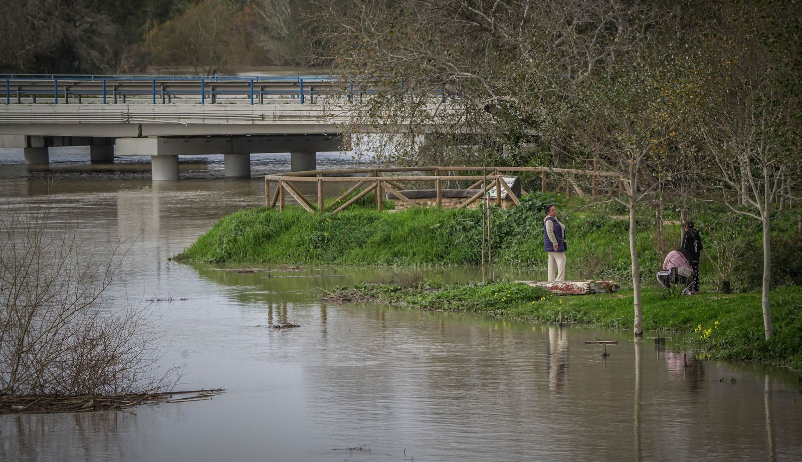 Un día tranquilo en el rio Guadalete, en imágenes