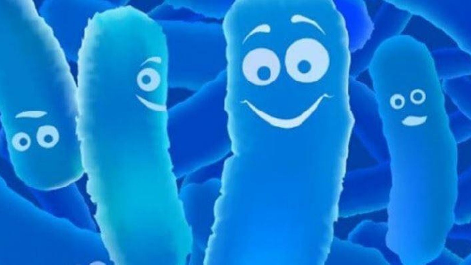 Las bacterias probióticas son buenas para el organismo.