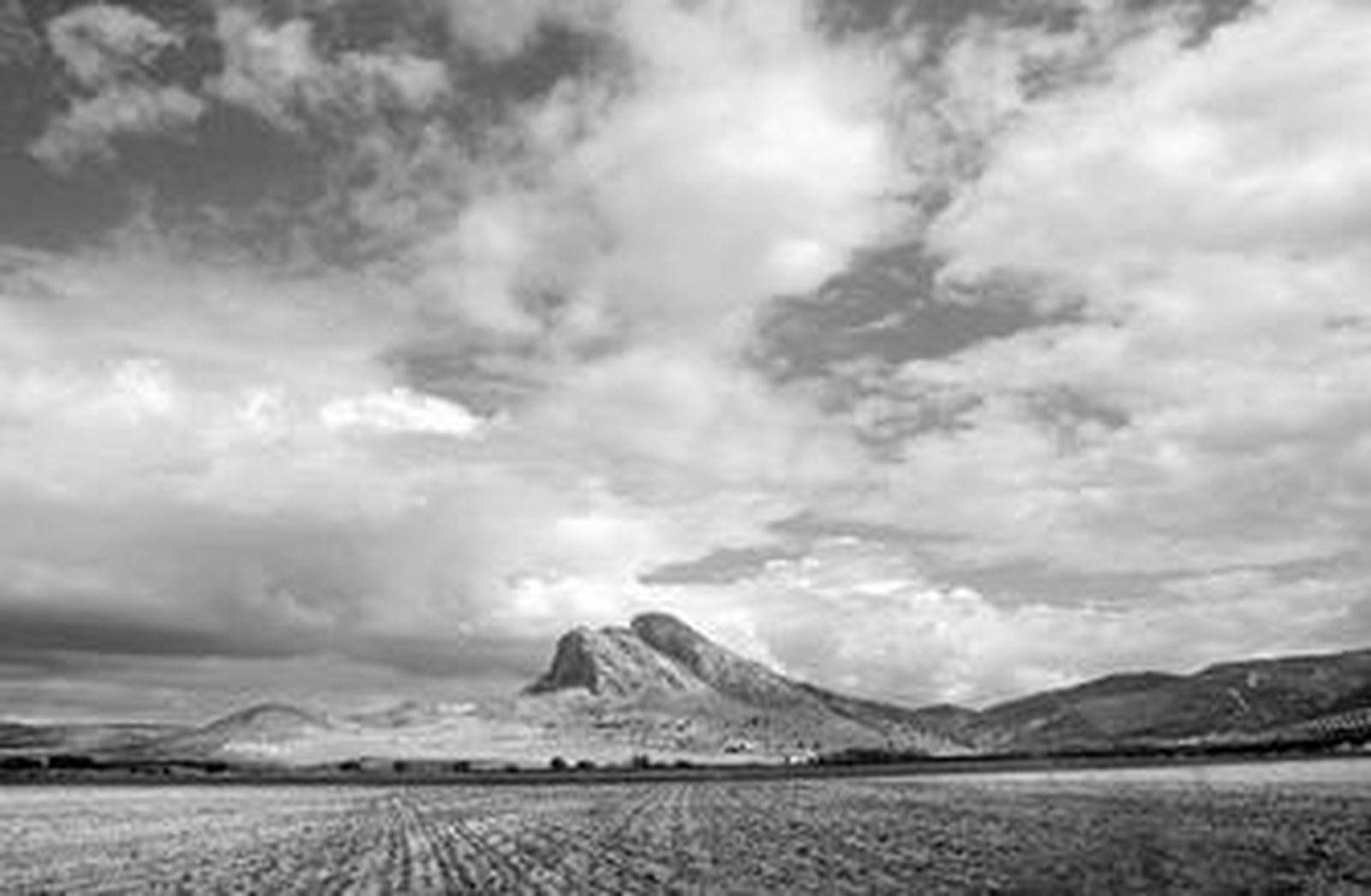 Retrato del poeta antequerano realizado en los años 50.