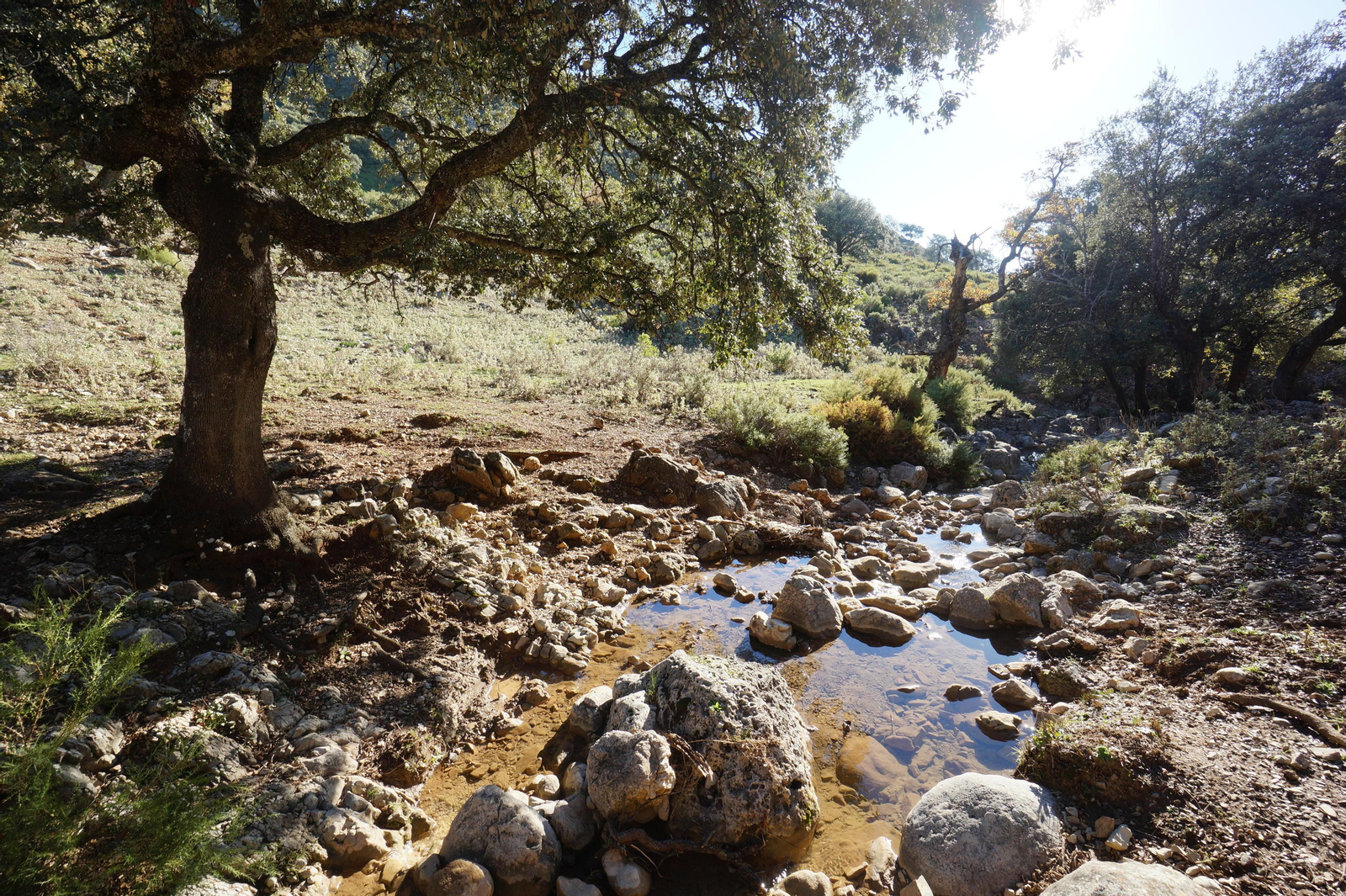 Un recorrido en fotografías de la subida a la Tiñosa, el pico más alto de Córdoba