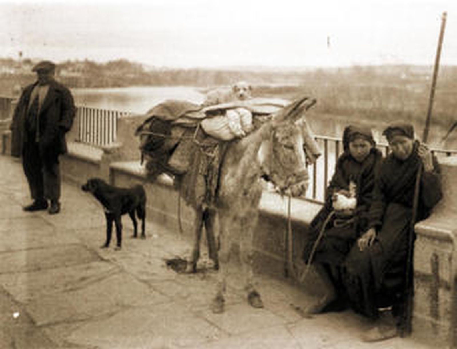 Un hombre y dos mujeres, con varios animales, en el Puente Romano de Córdoba en 1930.