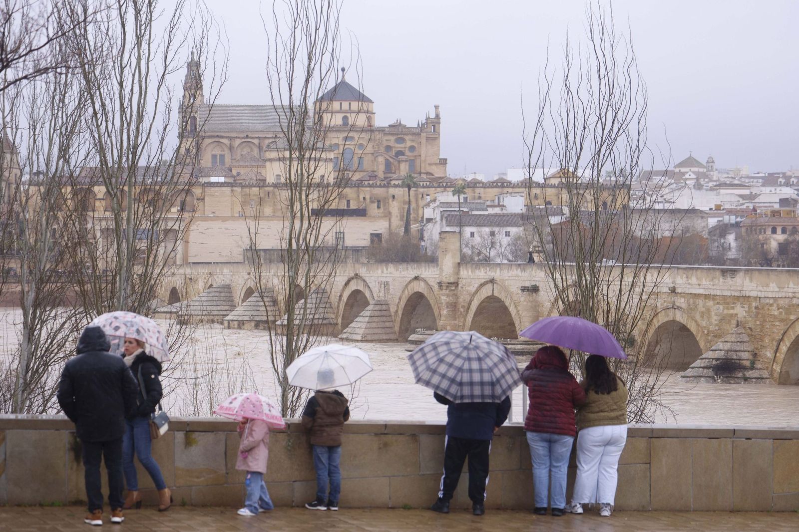 Así se muestra el río Guadalquivir a su paso por Córdoba a la espera de otra crecida