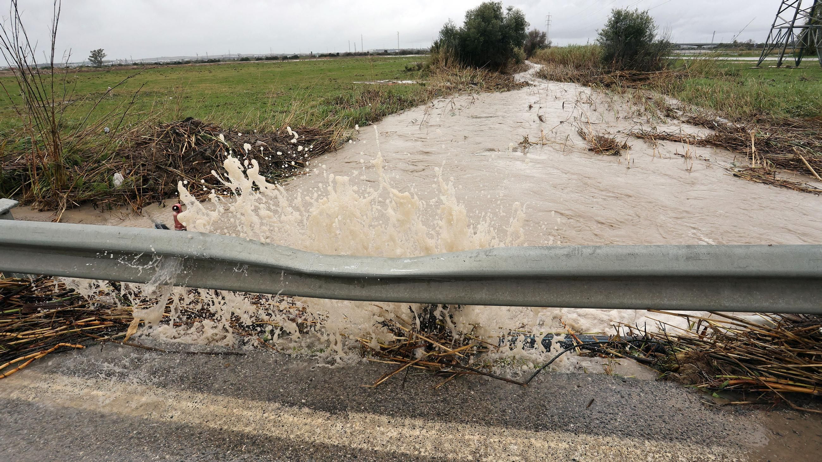 Imágenes del temporal de viento y lluvia en Jerez