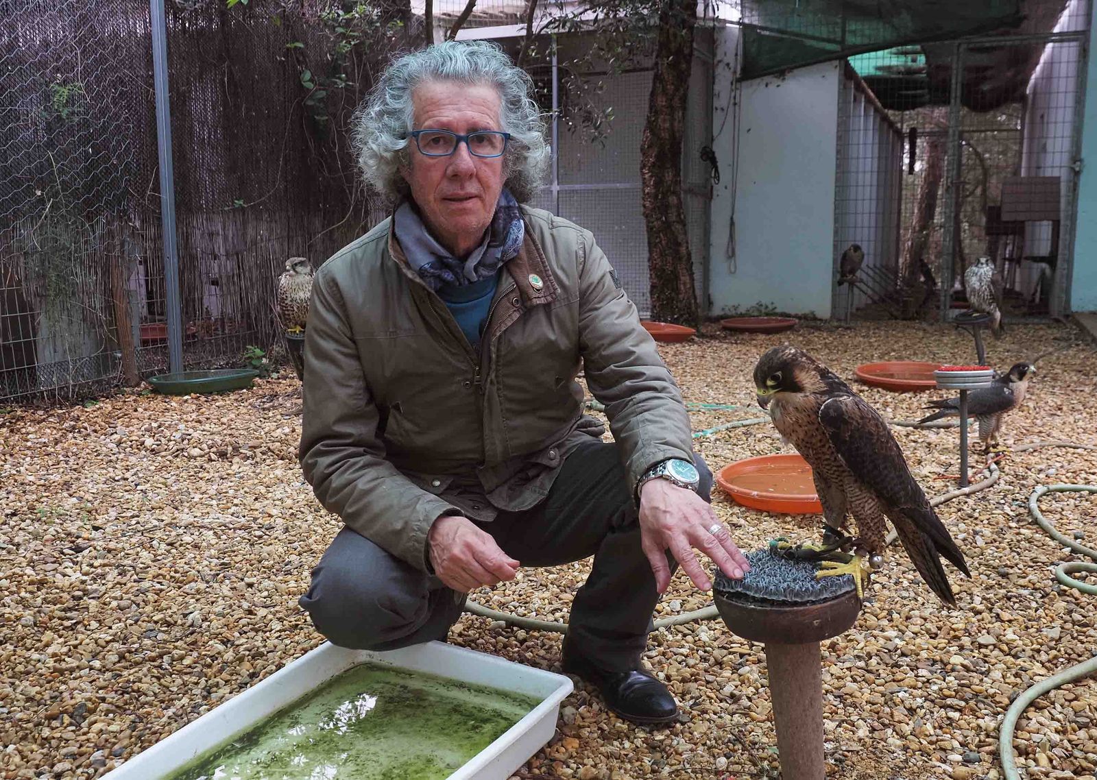 El presidente de la AECCA, Manuel Diego Pareja Obregón, este miércoles en Cartaya con algunas de sus aves