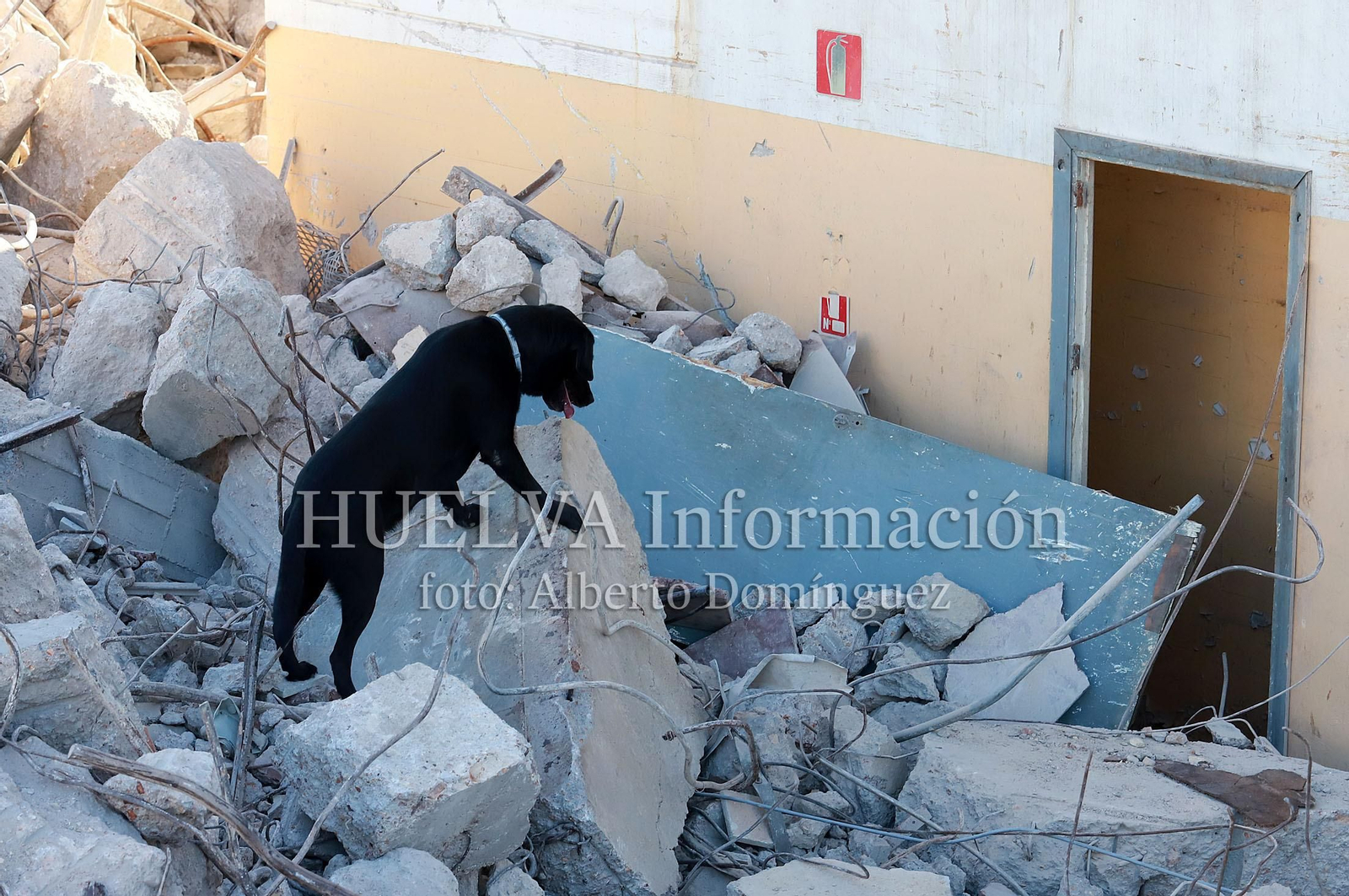 Imágenes del simulacro de los Bomberos de Huelva con la Unidad Canina
