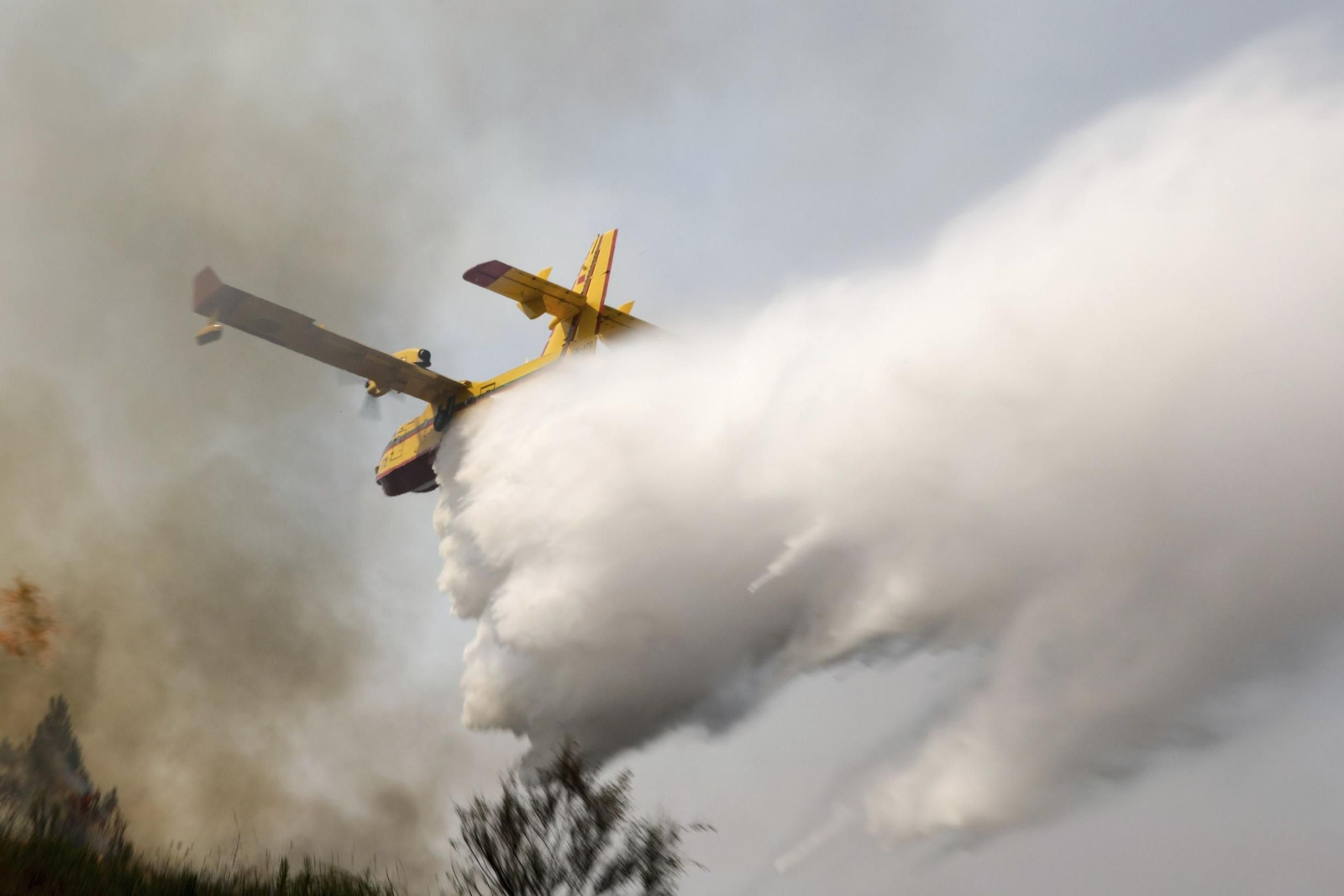 Un avión participa en las labores de extinción de incendios.