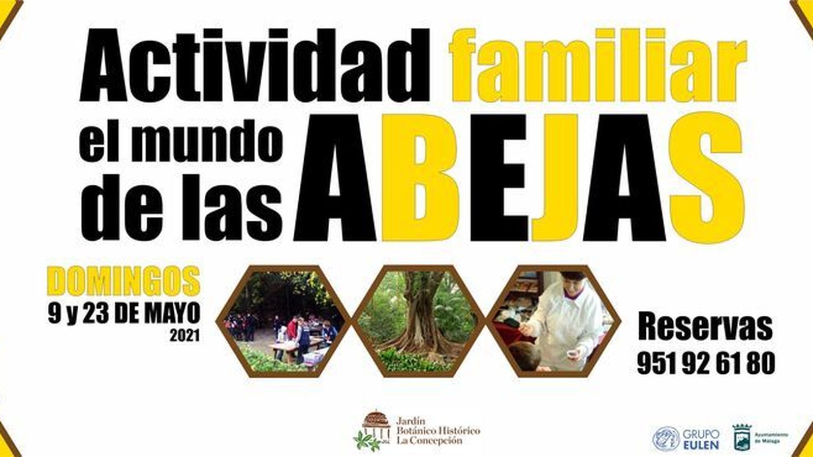 Taller sobre el mundo de las abejas.