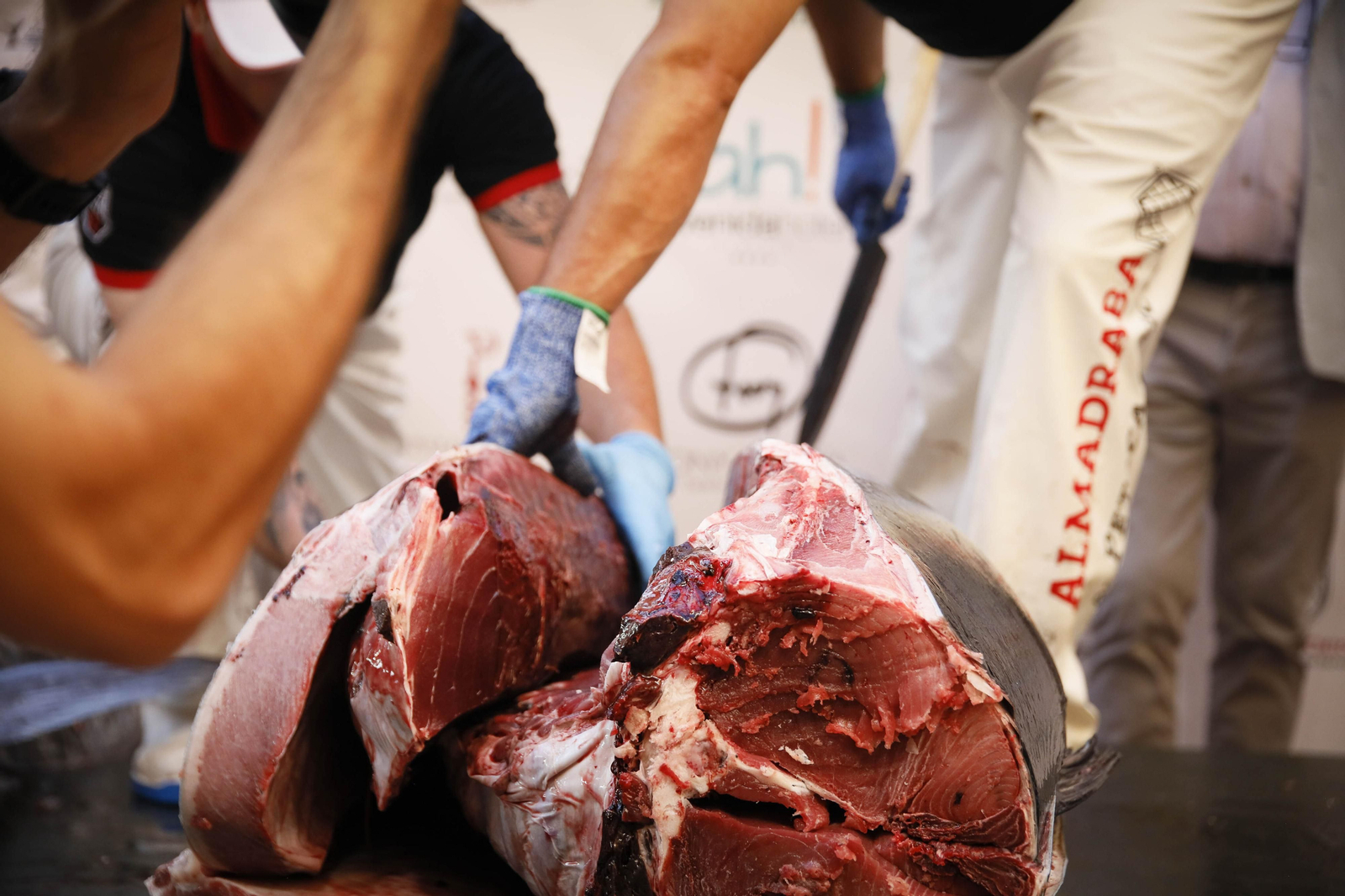 El ronqueo del atún en el Espacio Gatronómico Tony García, en imágenes