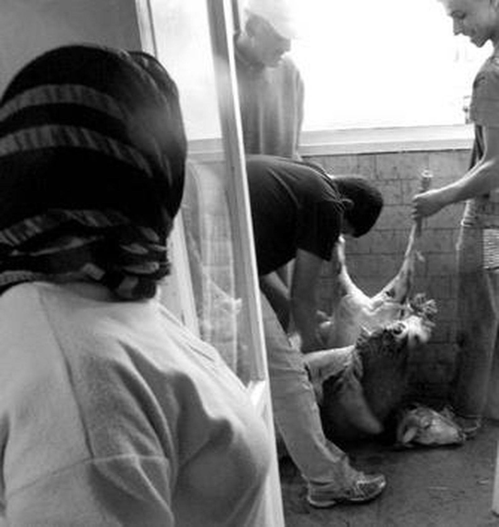 Un ciudadano marroquí despelleja a un cordero durante la tarde de ayer en su hogar.