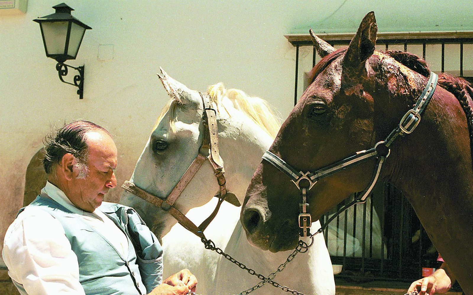 Álvaro Domecq, una vida en imágenes