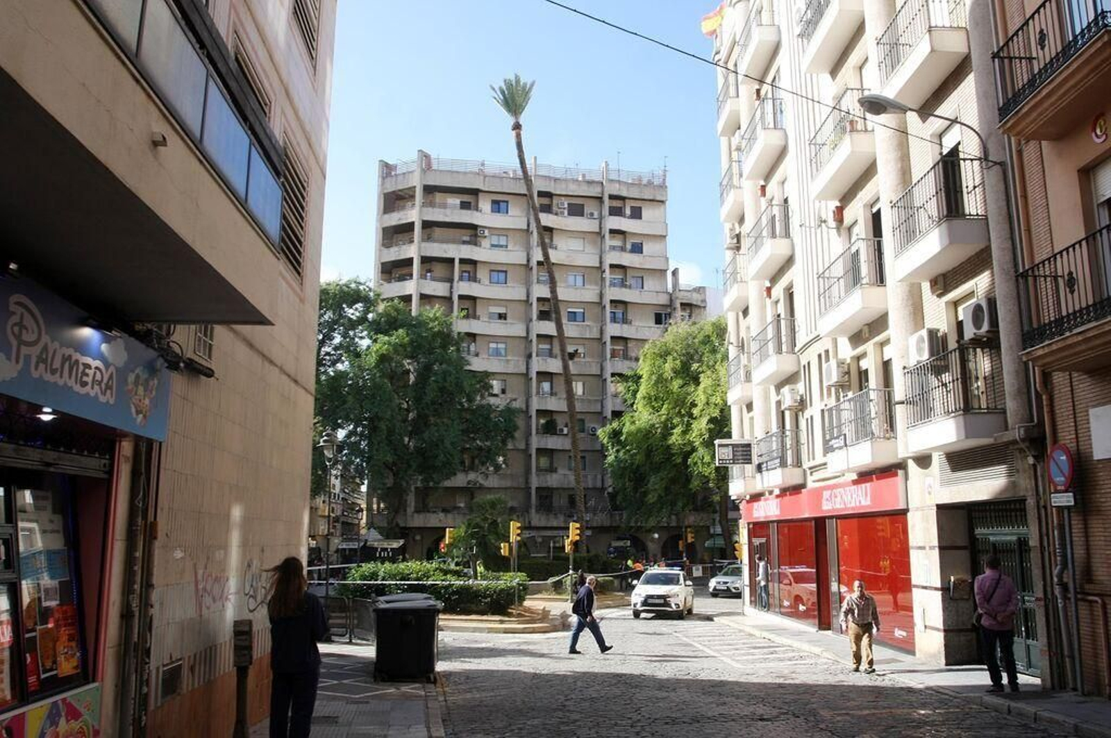 Triste adiós a la palmera más famosa de Huelva: Imágenes de sus 130 años de historia