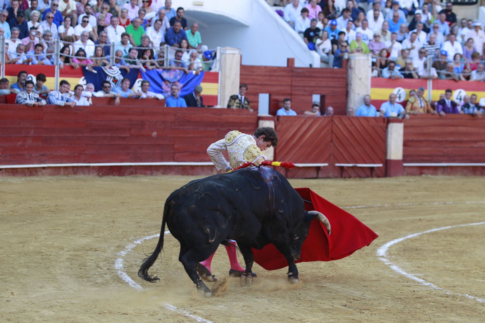 Imágenes del triunfo del torero almeriense Jorge Martínez el día de su alternativa