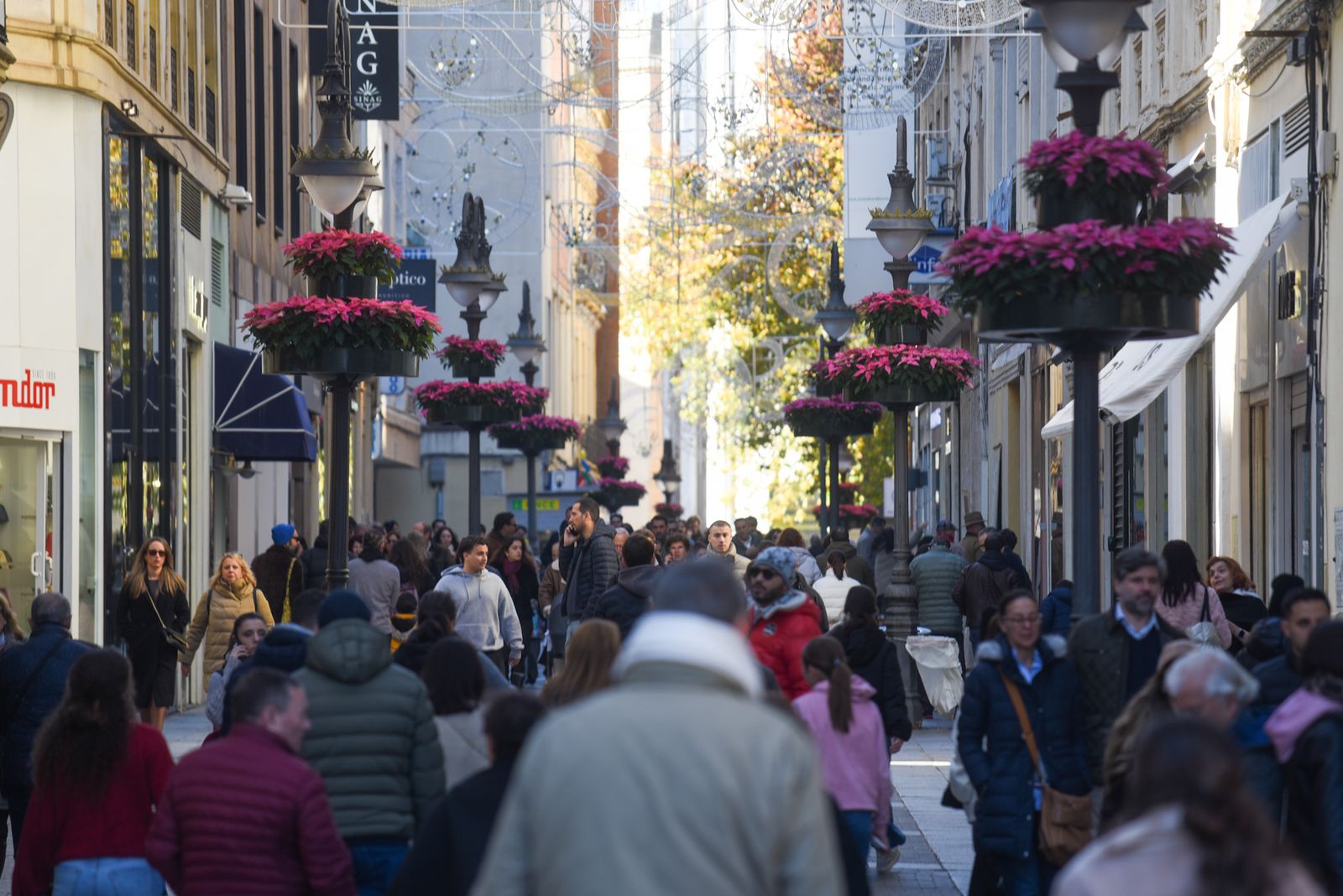 La Tardevieja en Córdoba para despedir 2025, en imágenes