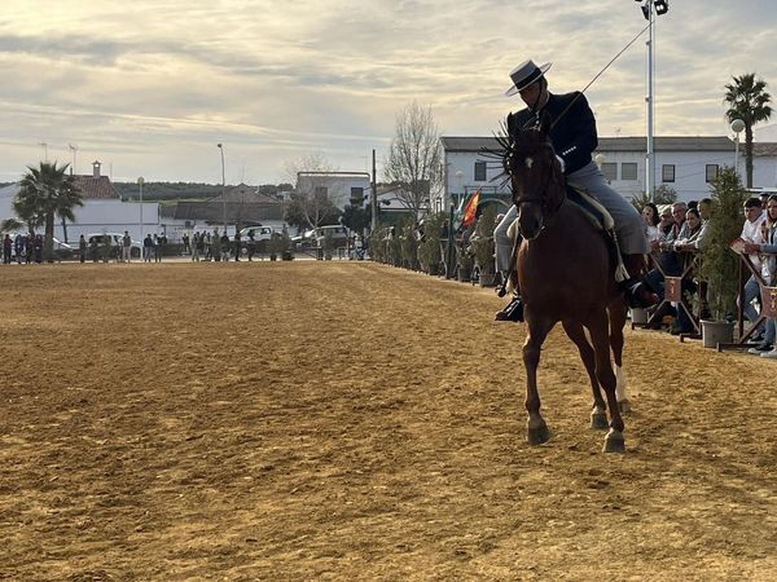 La exhibición ecuestre Caballos de Nuestra Tierra de Bujalance, en imágenes