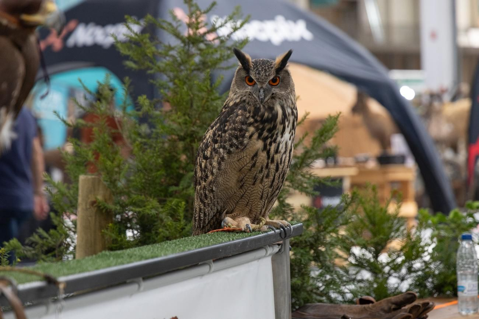 XVII Feria de Caza y Pesca de la Provincia de Jaén, Ibercaza