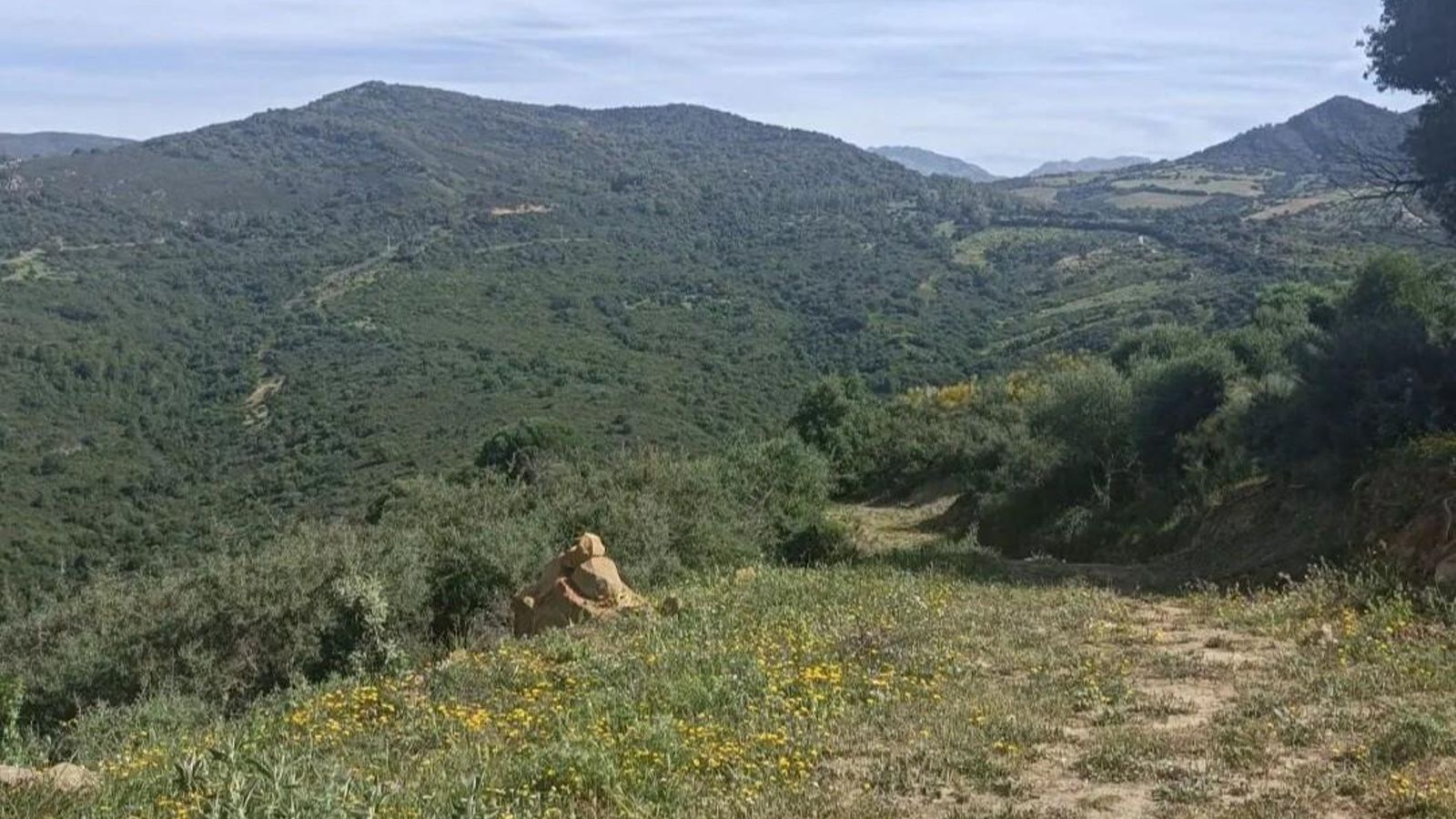 En esta etapa entramos en la Serranía de Ronda.