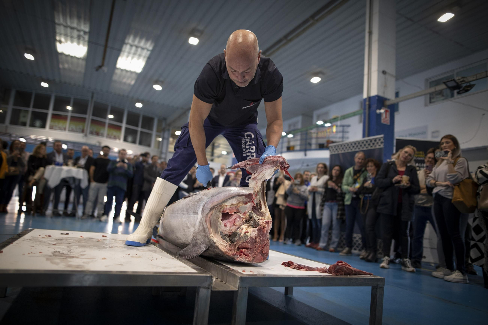 Venir, ver y comprar: las imágenes del ronqueo del atún en Granada