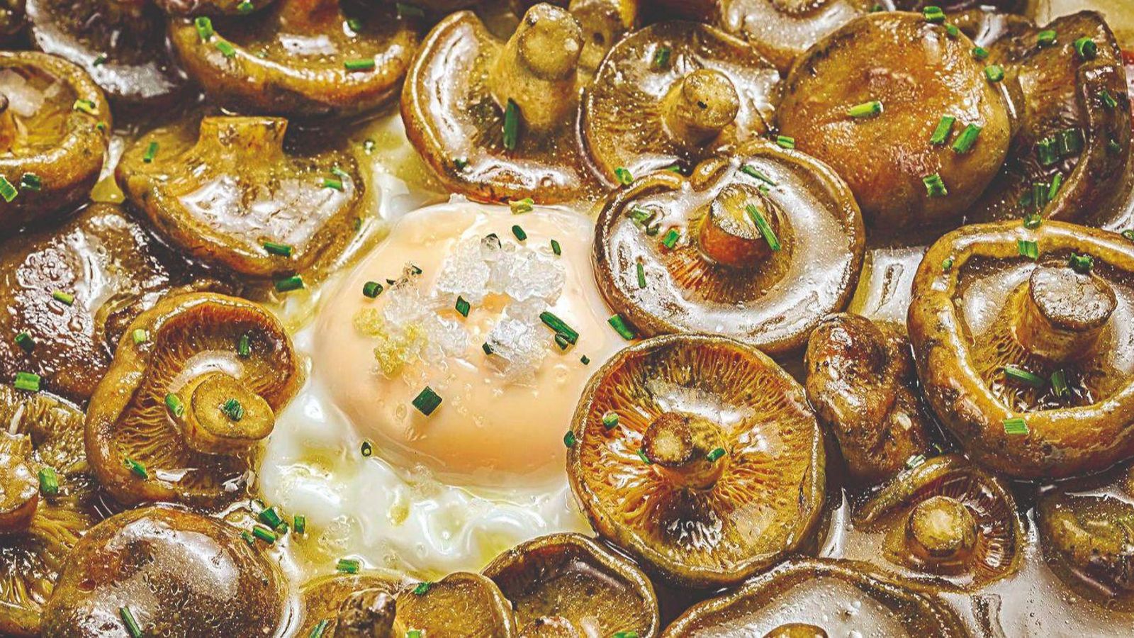 Un buen plato de setas con huevo Un buen plato de setas con huevo